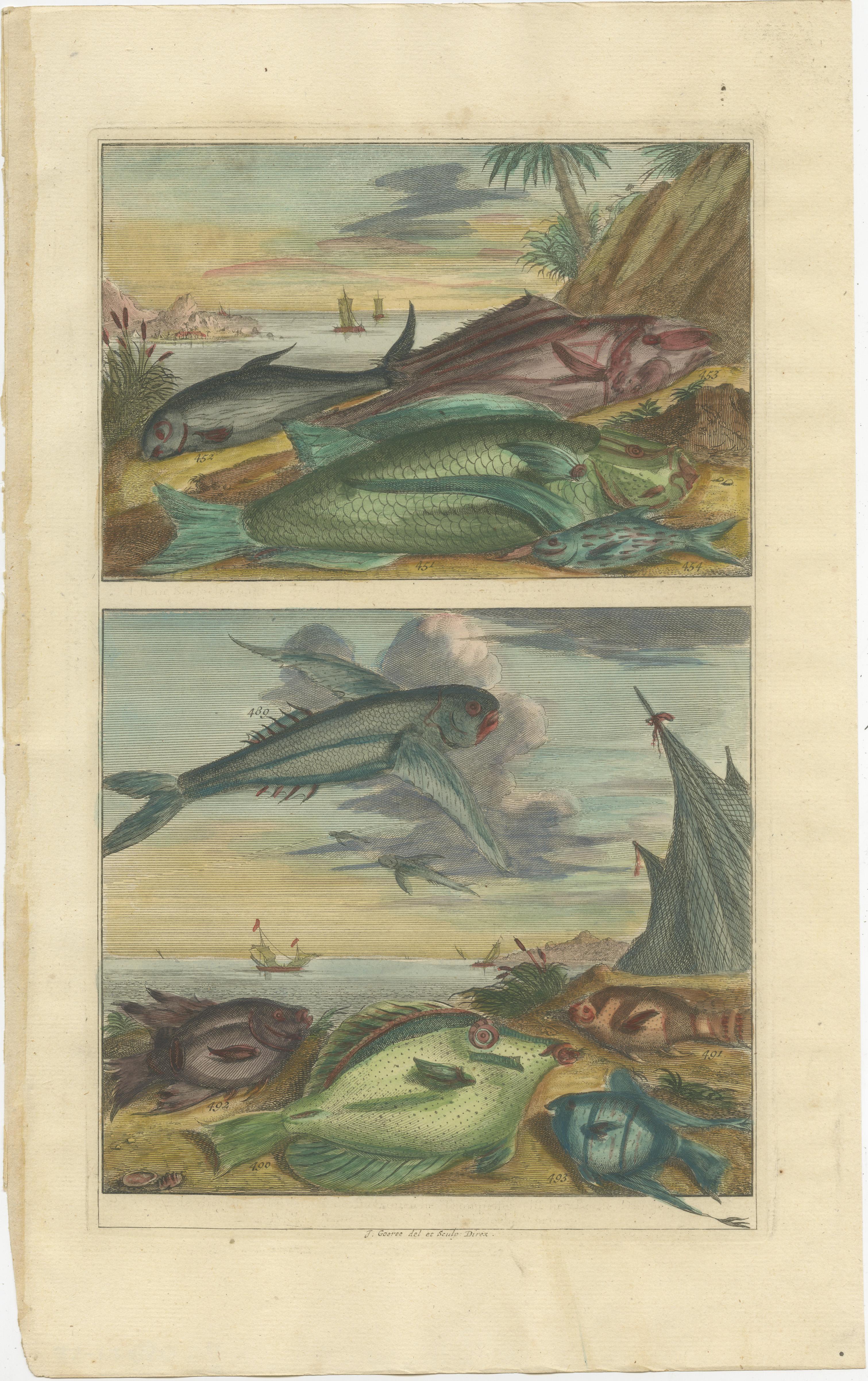 Set of 12 Colored Antique Prints of various Fish species and other Marine Life In Good Condition For Sale In Langweer, NL