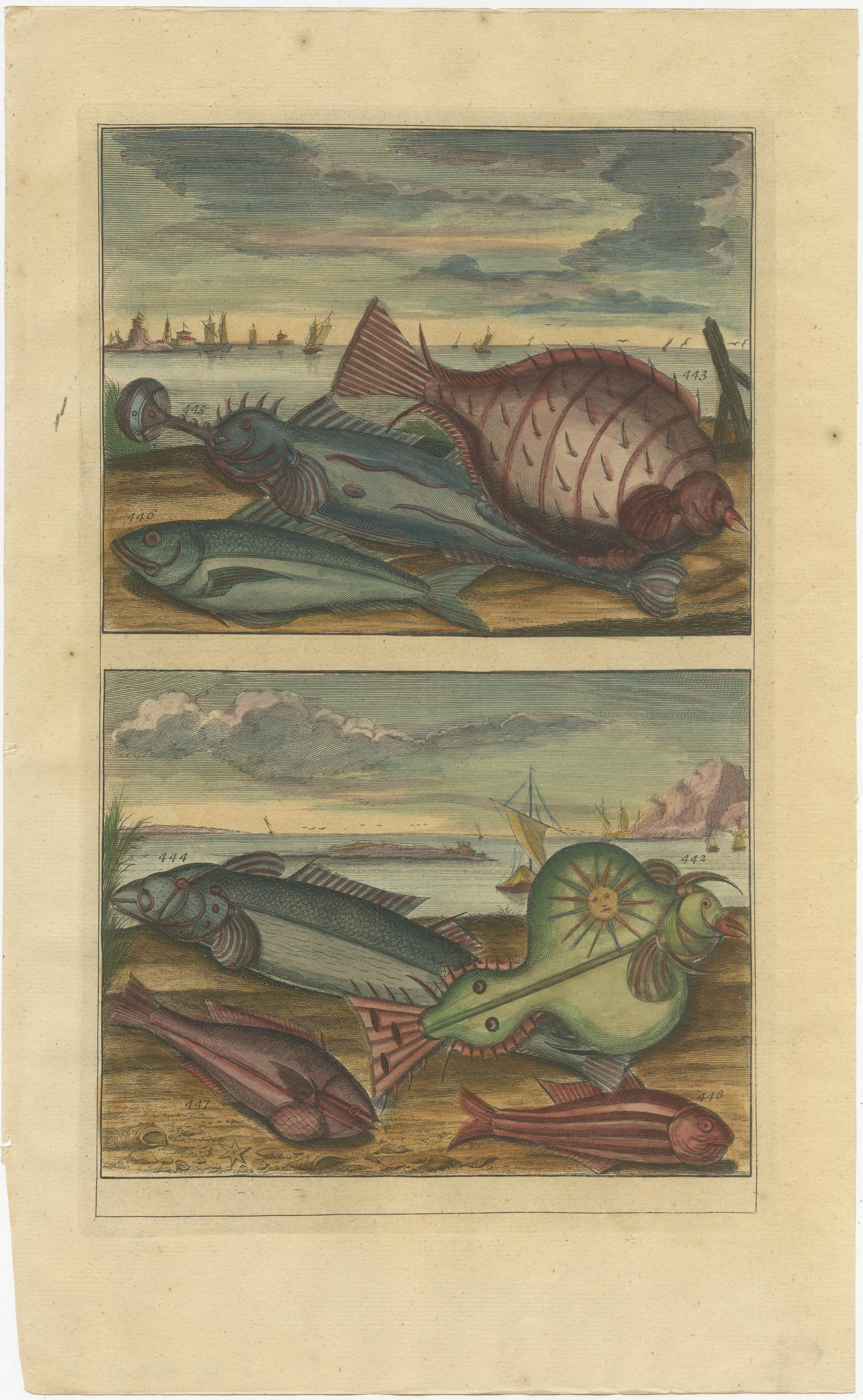 Paper Set of 12 Colored Antique Prints of various Fish species and other Marine Life For Sale