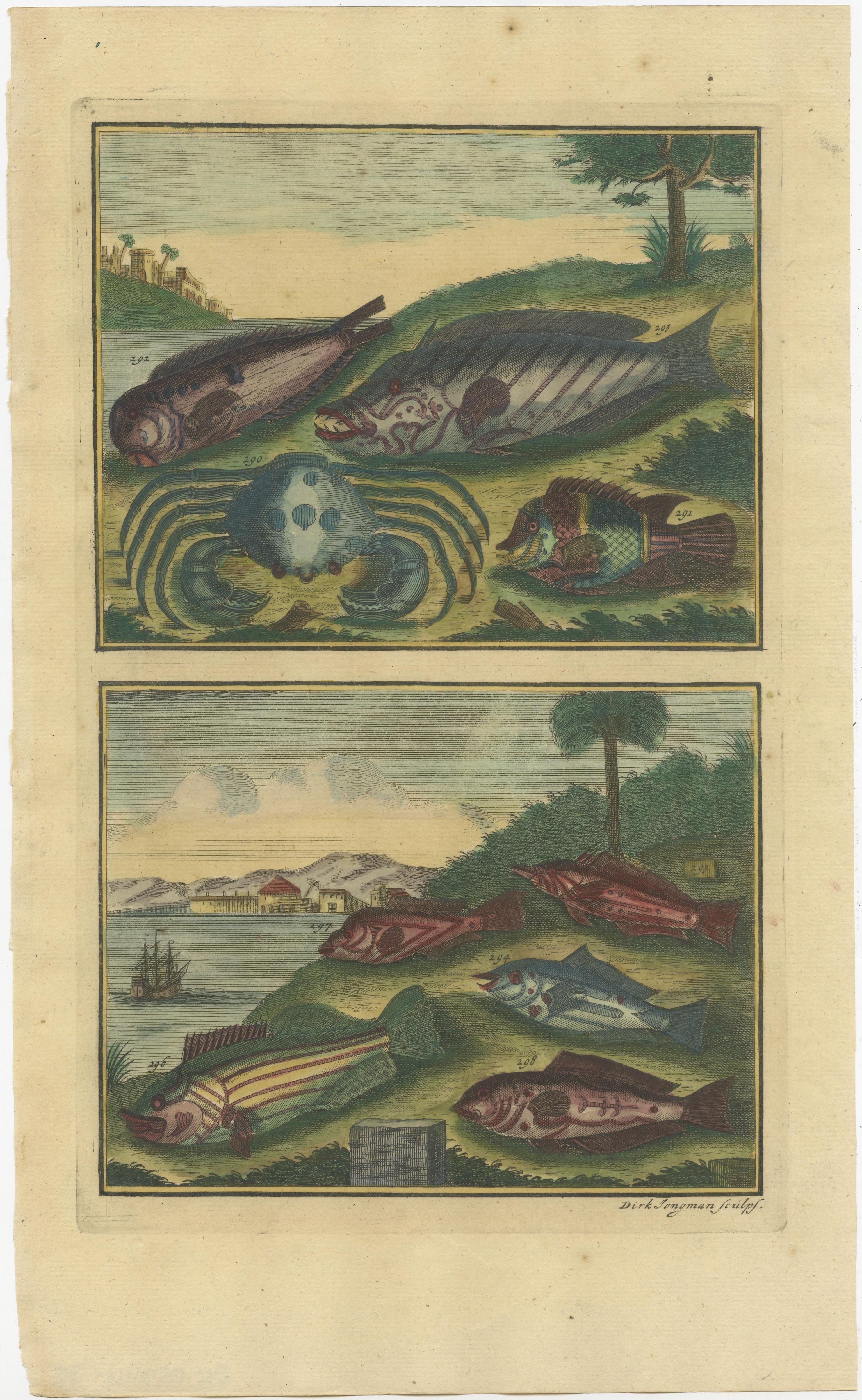 Paper Set of 12 Colored Antique Prints of Various Fishes and Crustaceans For Sale