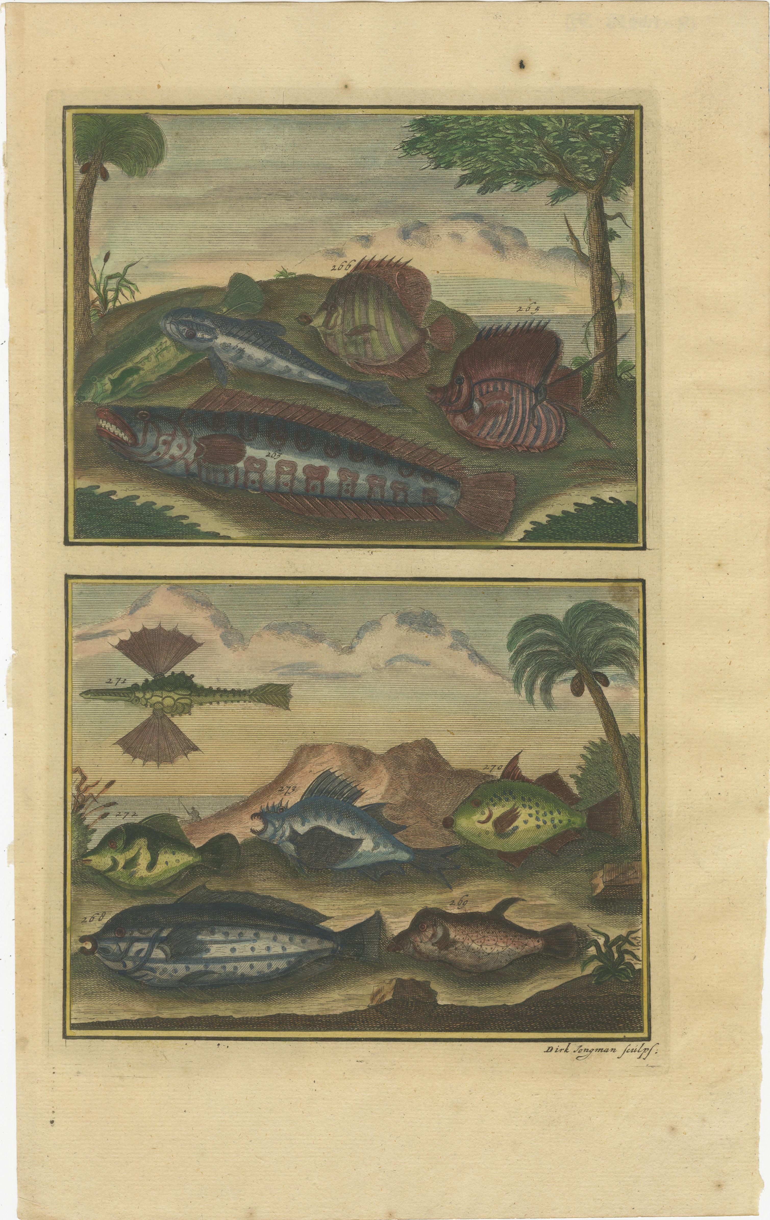 Set of 12 Colored Antique Prints of Various Fishes and Crustaceans For Sale 2