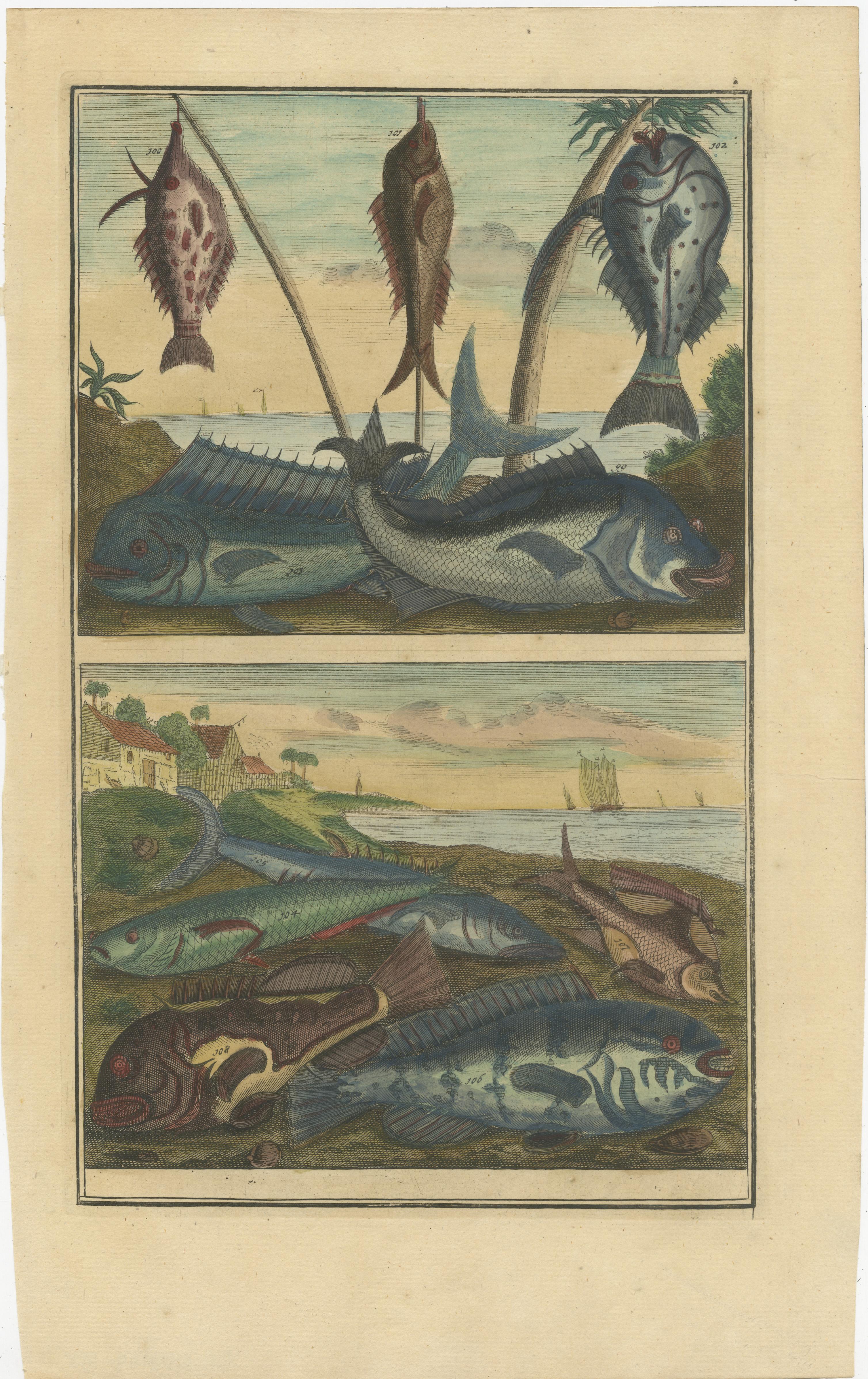 Set of 12 Colored Antique Prints of Various Fishes and Crustaceans For Sale 3
