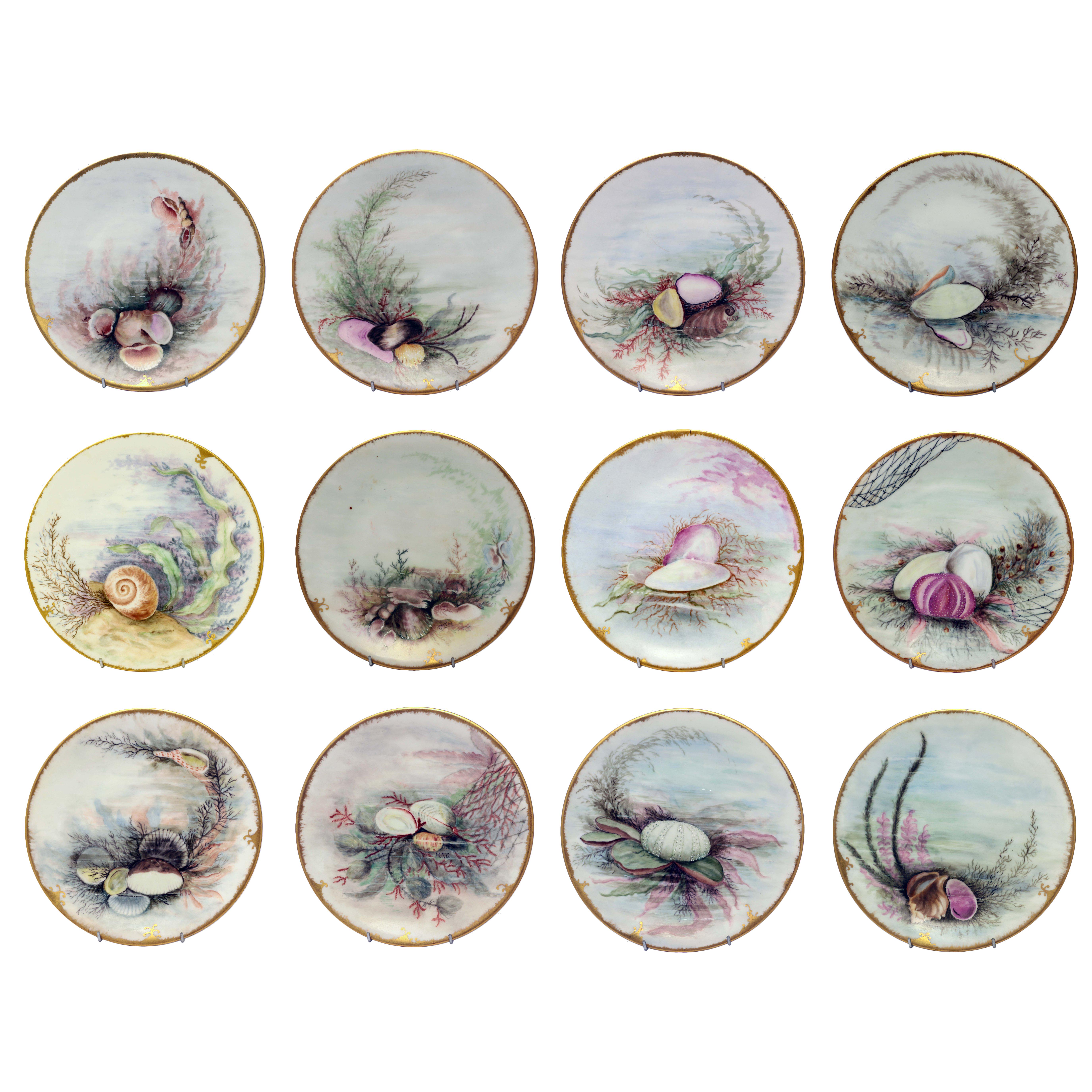 Set of 12 D&C Limoges Plates Painted with Shells