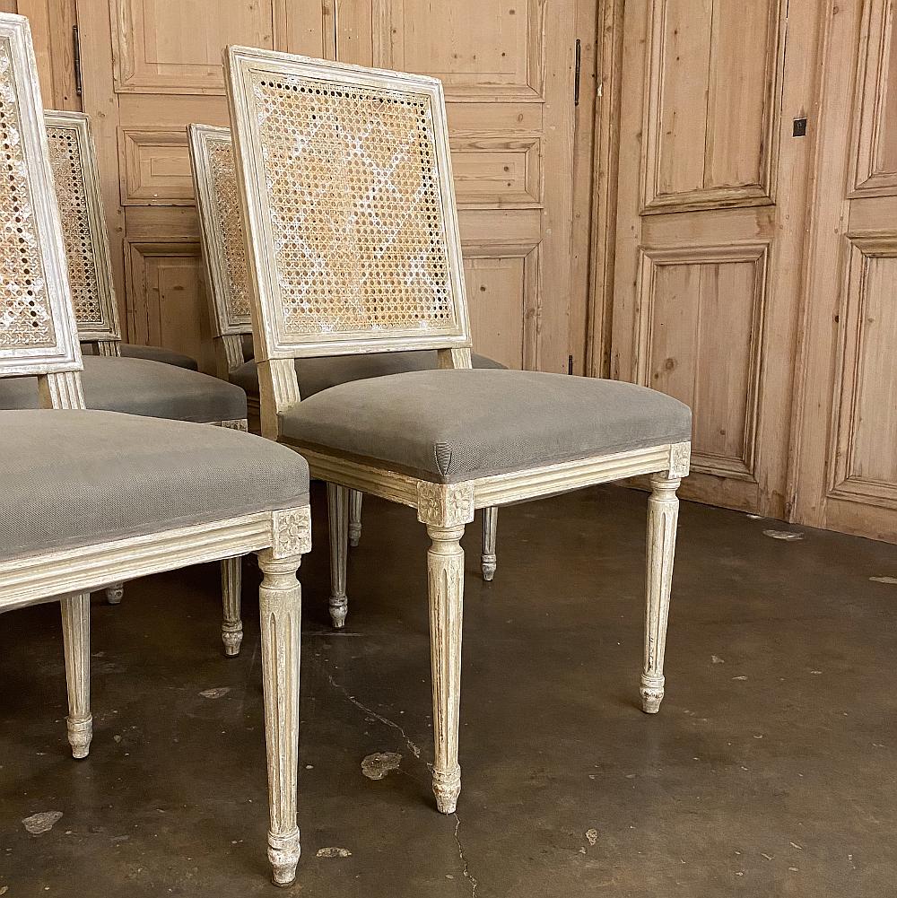 Set of 12 Dining Chairs, Antique French Louis XVI with Cane Seatbacks 2