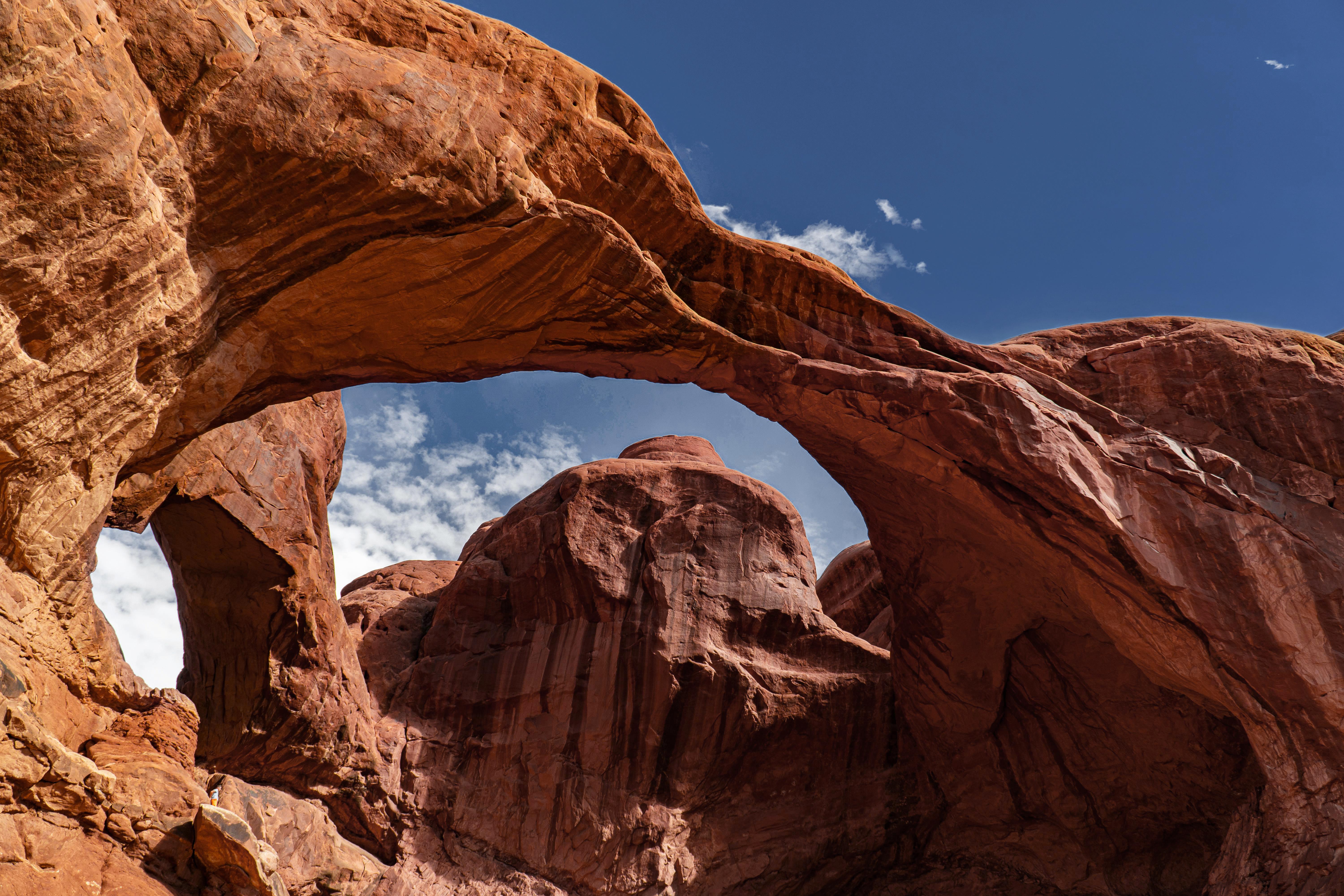 XXI secolo e contemporaneo Set di 12 sedie da pranzo a doppio arco, velluto, InsidherLand by Joana Santos Barbosa in vendita