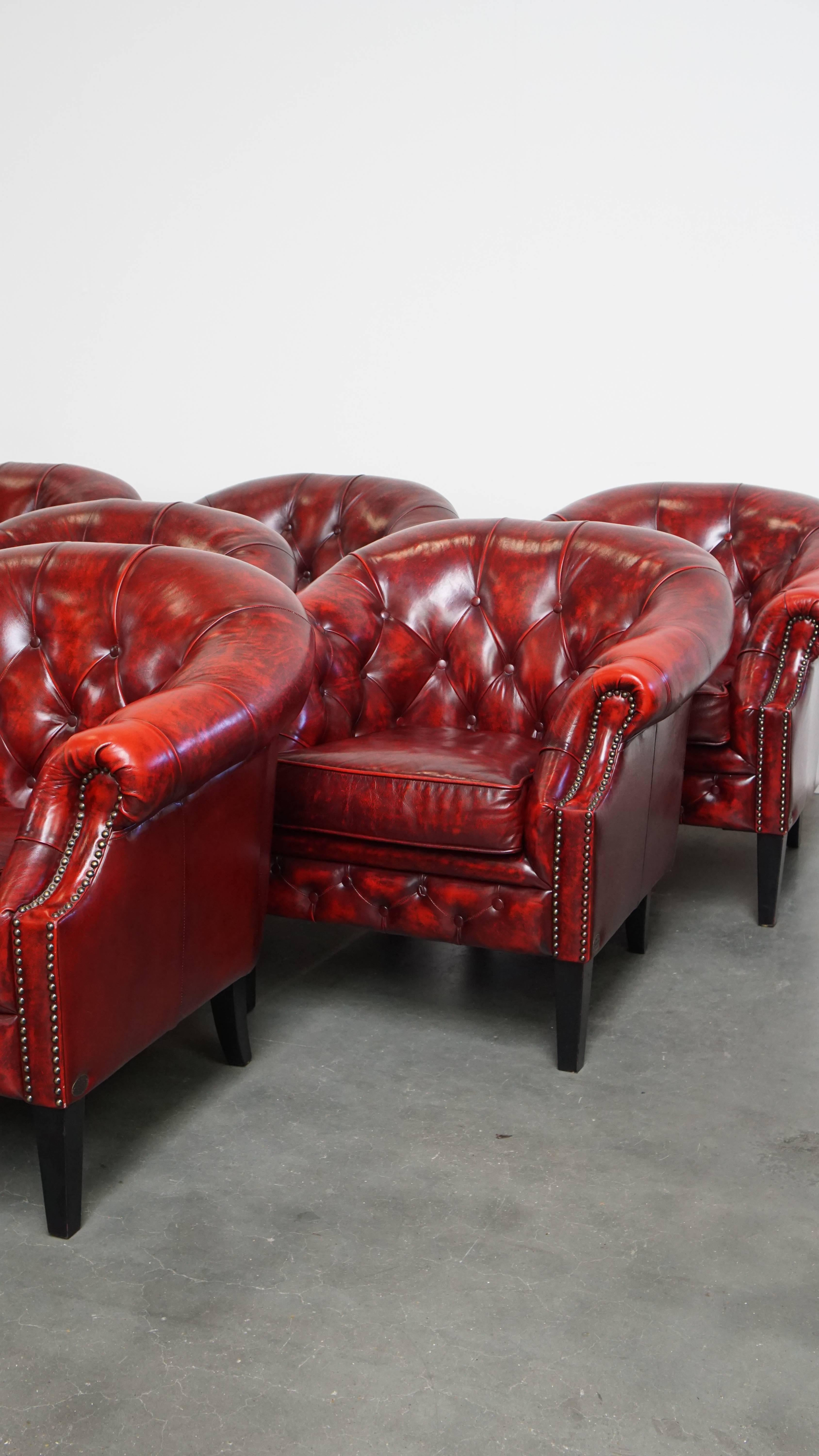 Satz von 12 englischen Chesterfield Clubsesseln aus rotem Rindsleder im Angebot 11