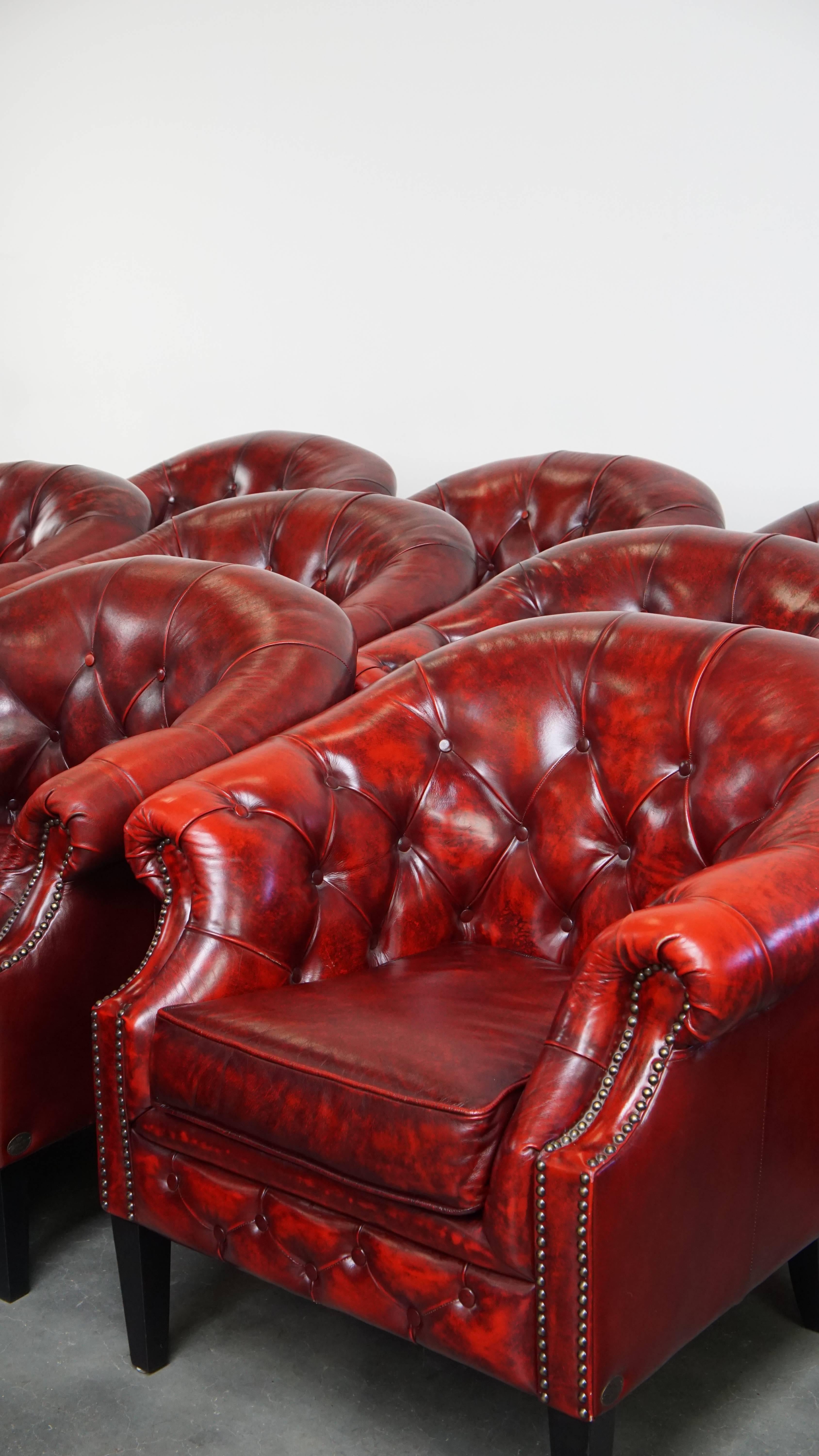 Satz von 12 englischen Chesterfield Clubsesseln aus rotem Rindsleder im Angebot 12