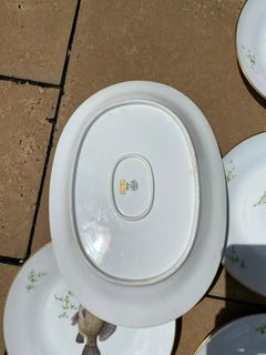 Set of 12 Fish Plates & Platter by Richard Ginori a-5 Italy