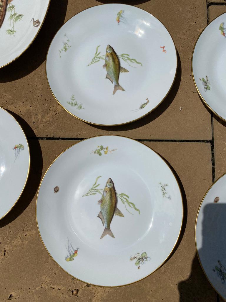 International Style Set of 12 Fish Plates & Platter by Richard Ginori a-5 Italy