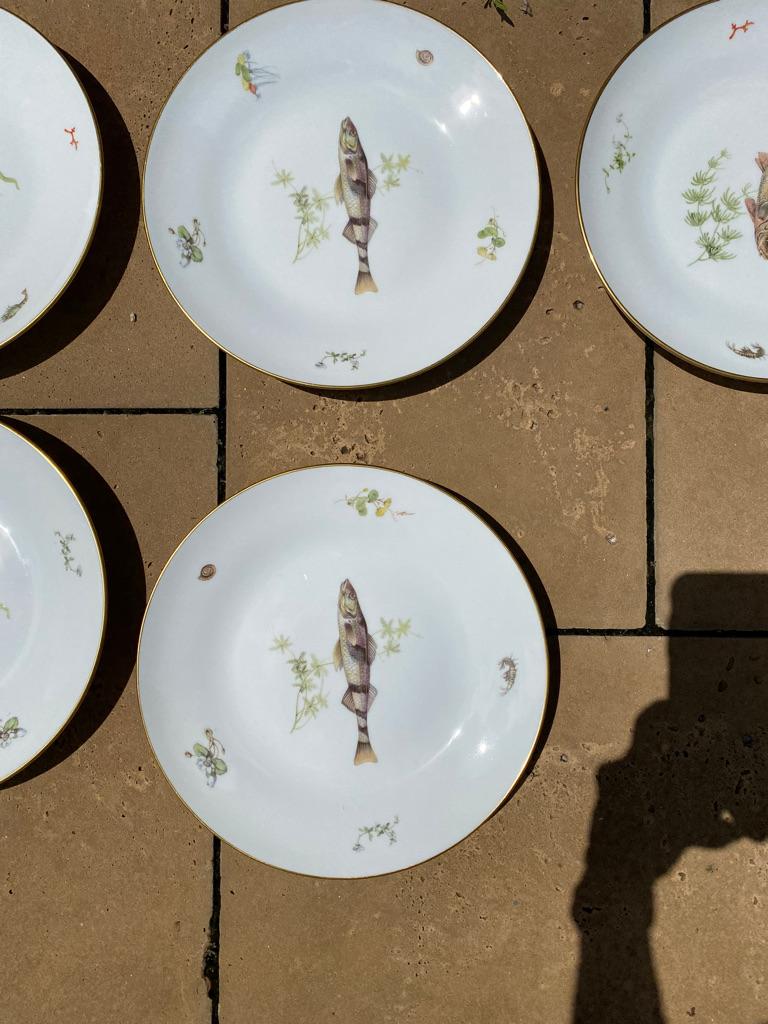 Italian Set of 12 Fish Plates & Platter by Richard Ginori a-5 Italy