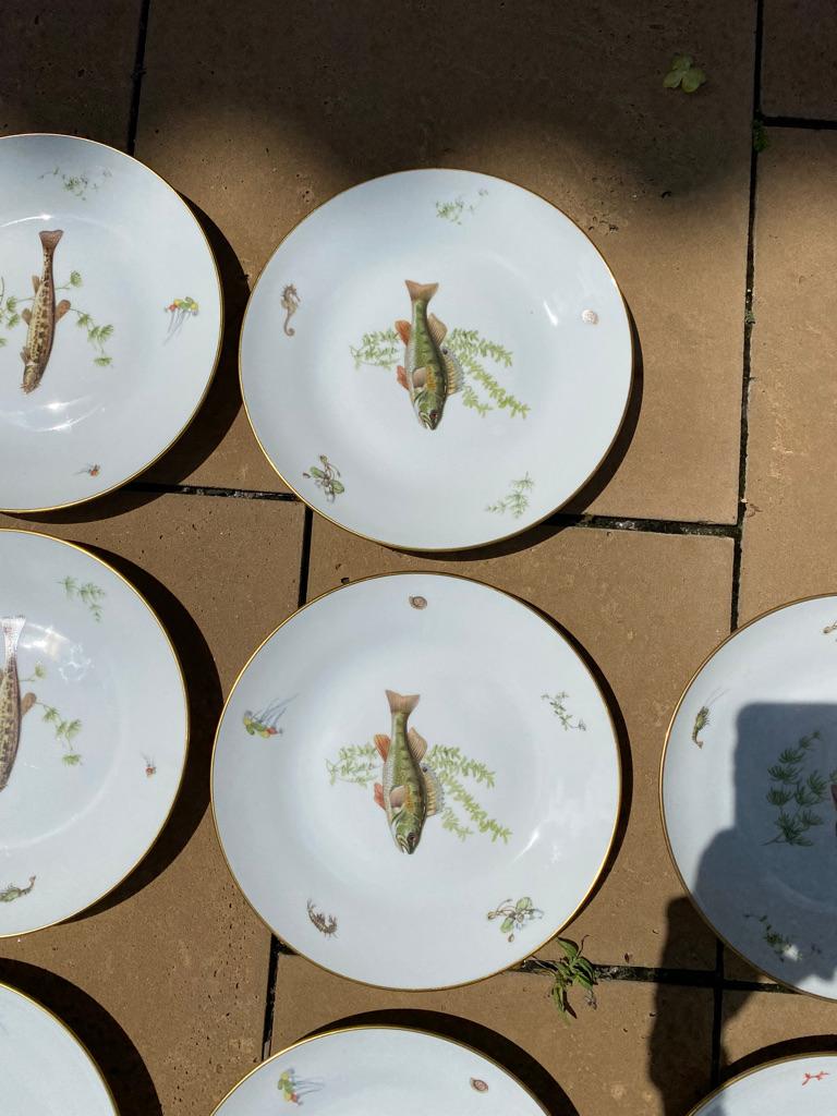 Hand-Painted Set of 12 Fish Plates & Platter by Richard Ginori a-5 Italy