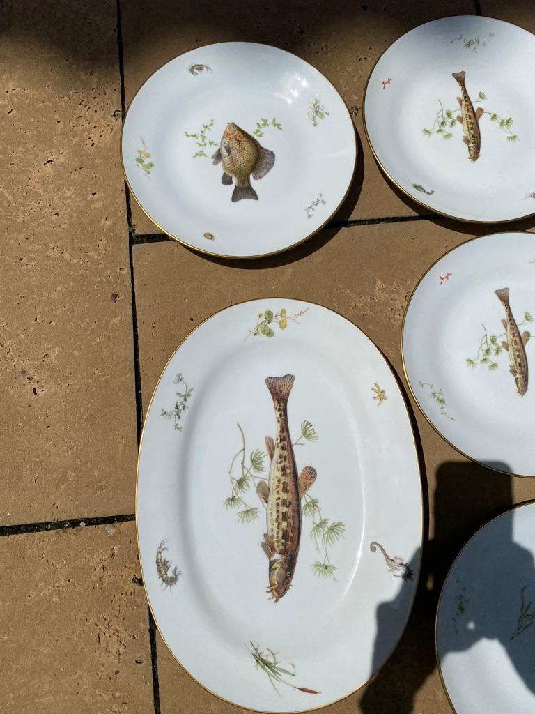 Late 20th Century Set of 12 Fish Plates & Platter by Richard Ginori a-5 Italy