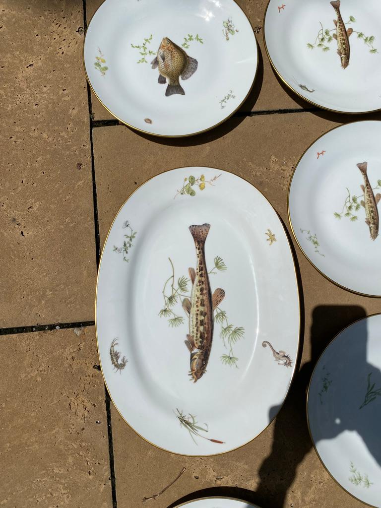 Porcelain Set of 12 Fish Plates & Platter by Richard Ginori a-5 Italy