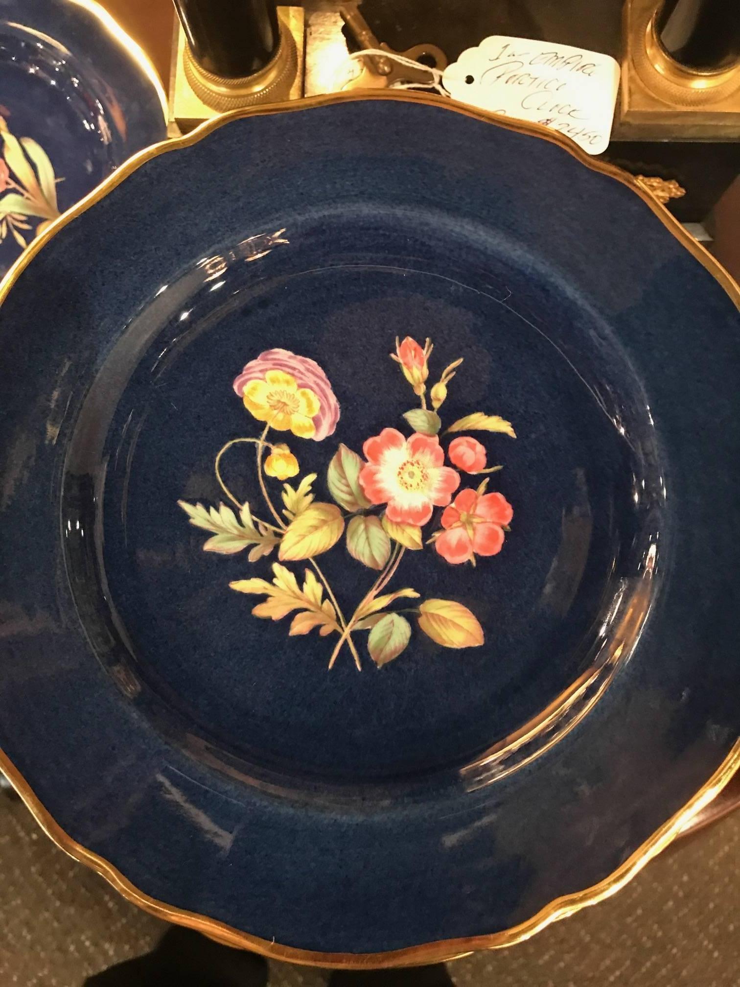12 cobalt background botanical plates made by Spode Copeland. Each plate is a different hand painted botanical center with the name of the flower identified on the back. Simple gold band around the scalloped edge. Rich color sets off the beautifully