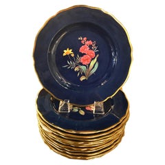 Set of 12 Hand Painted Copeland English Botanical Accent Plates