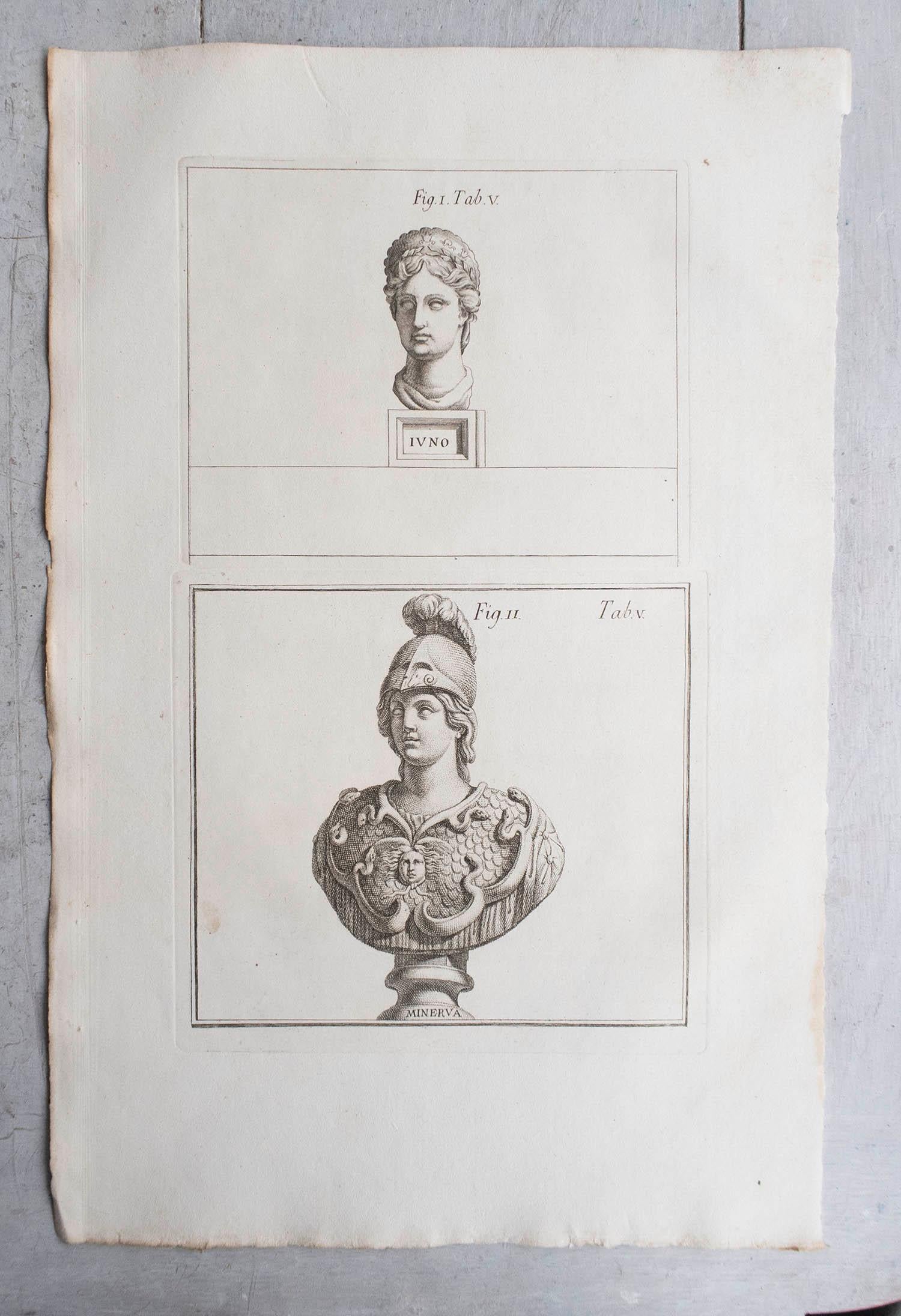 Plaster Set of 12 Large Scale Original Antique Grand Tour Prints. Rome, 1776