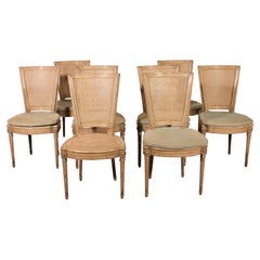 Set Of 12 Louis XVI Style Chairs In Polychrome Wood - 19th Century