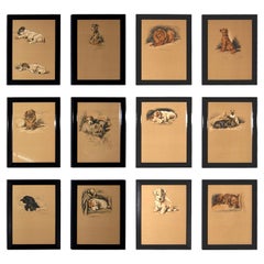 Set of 12 Lucy Dawson Dog Prints