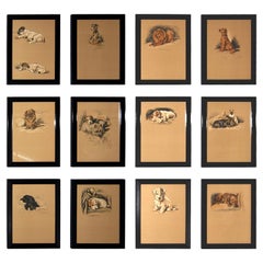 Set of 12 Lucy Dawson Dog Prints