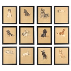 Set of 12 Lucy Dawson Dogs