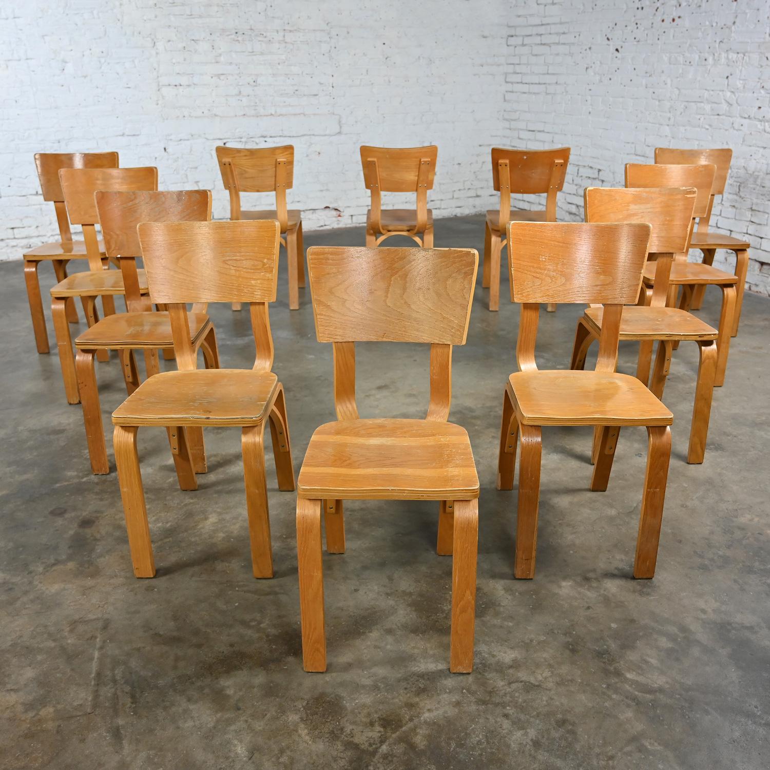 Ensemble de 12 chaises de salle à manger MCM Thonet n°1216 en chêne courbé et contreplaqué avec un nœud unique en vente 7