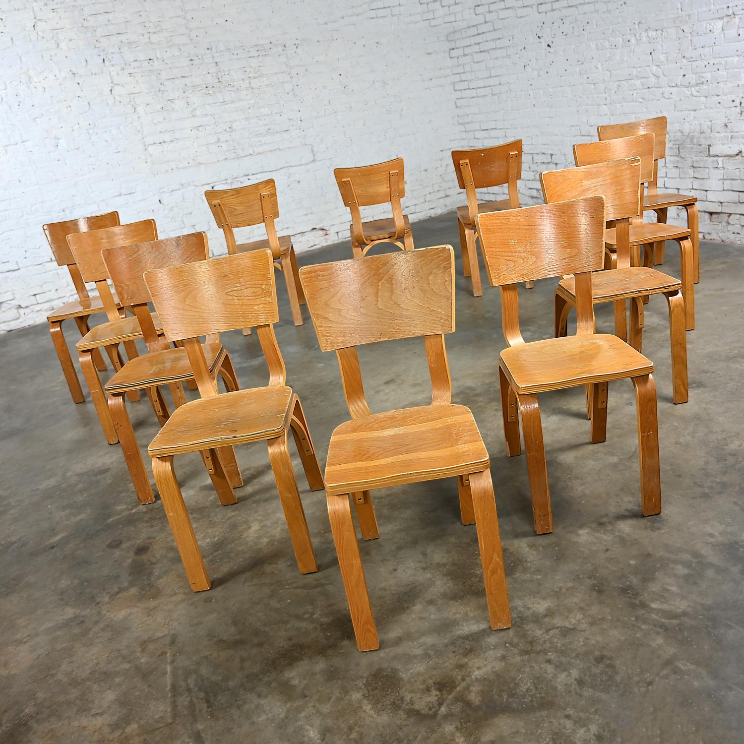 Mid-Century Modern Ensemble de 12 chaises de salle à manger MCM Thonet n°1216 en chêne courbé et contreplaqué avec un nœud unique en vente