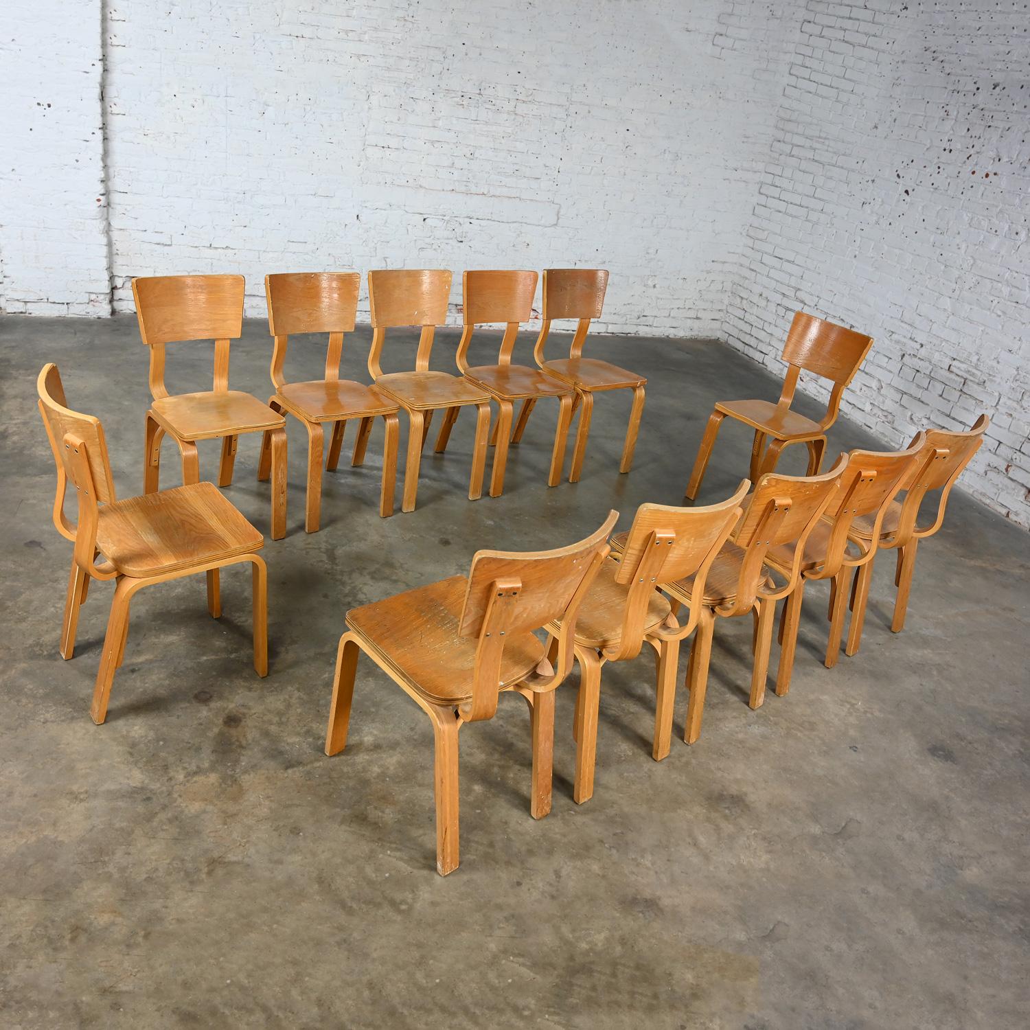 Set von 12 MCM Thonet #1216 Esszimmerstühlen, gebogene Eiche, Sperrholz, Sattelsitz, Einzelschleife (amerikanisch) im Angebot