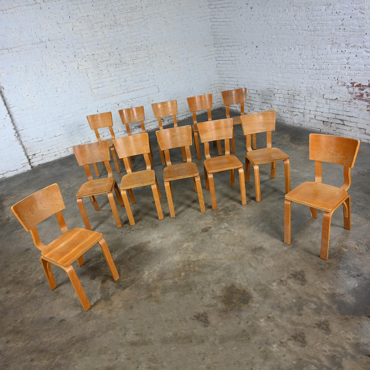 Set von 12 MCM Thonet #1216 Esszimmerstühlen, gebogene Eiche, Sperrholz, Sattelsitz, Einzelschleife im Zustand „Gut“ im Angebot in Topeka, KS