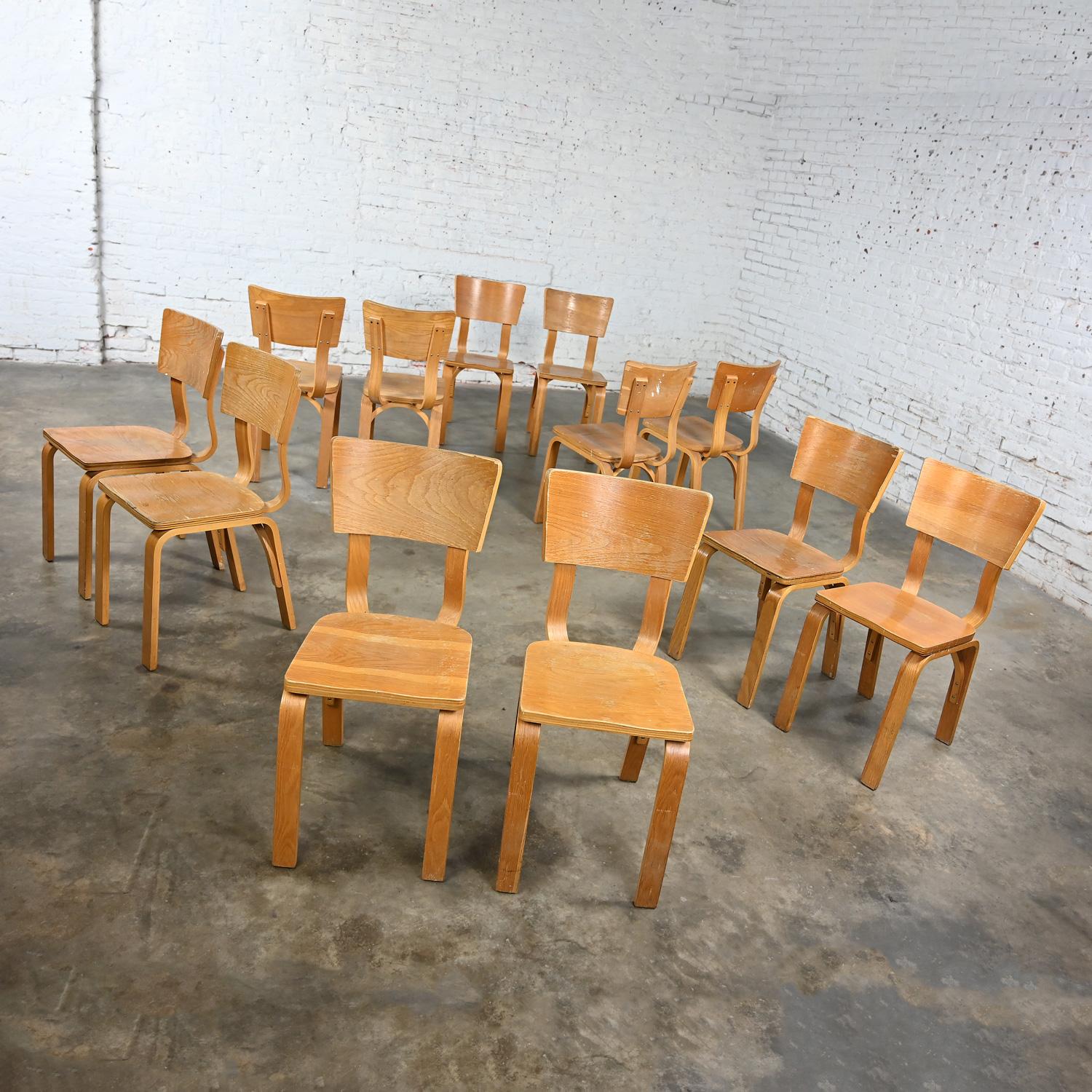 20ième siècle Ensemble de 12 chaises de salle à manger MCM Thonet n°1216 en chêne courbé et contreplaqué avec un nœud unique en vente