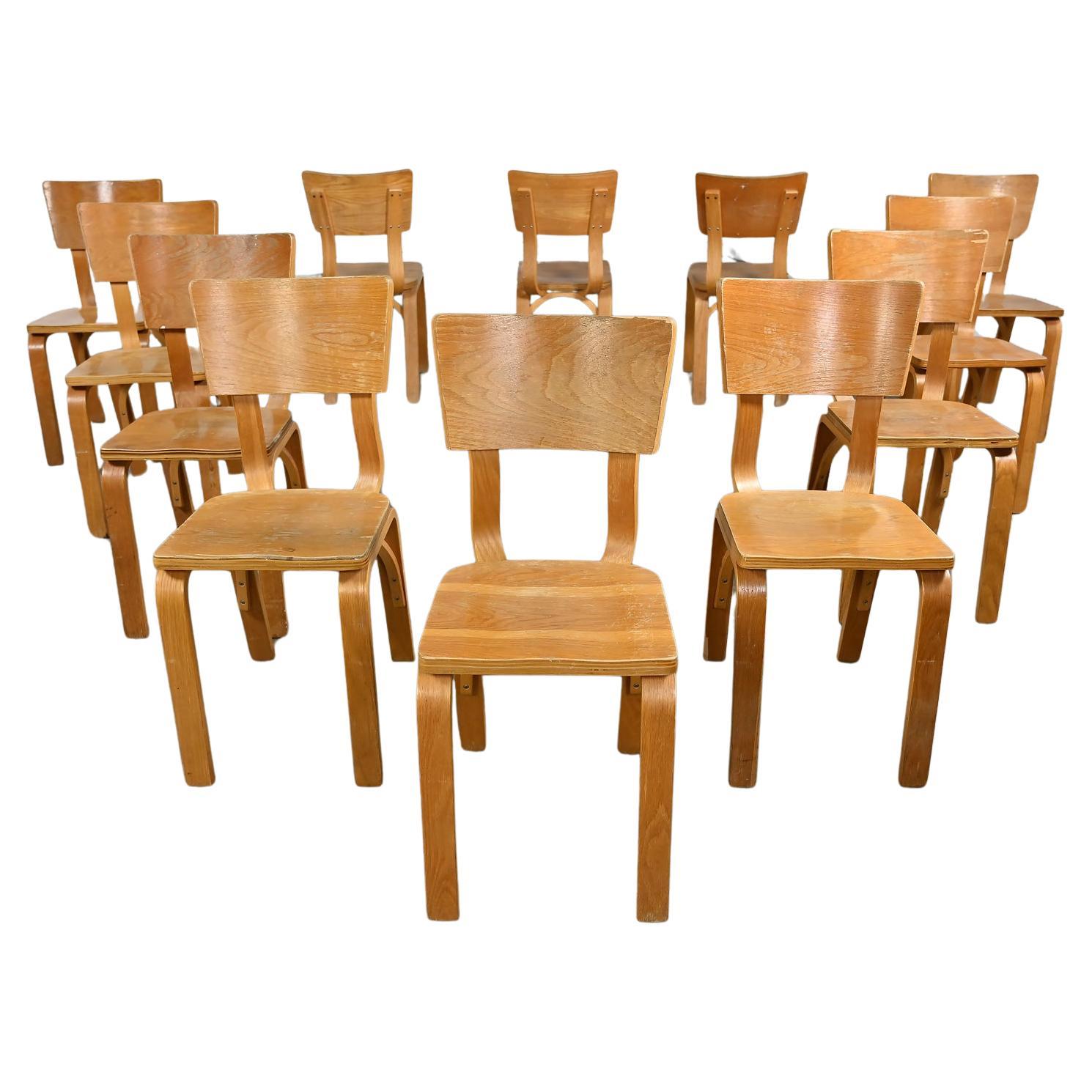Set von 12 MCM Thonet #1216 Esszimmerstühlen, gebogene Eiche, Sperrholz, Sattelsitz, Einzelschleife im Angebot