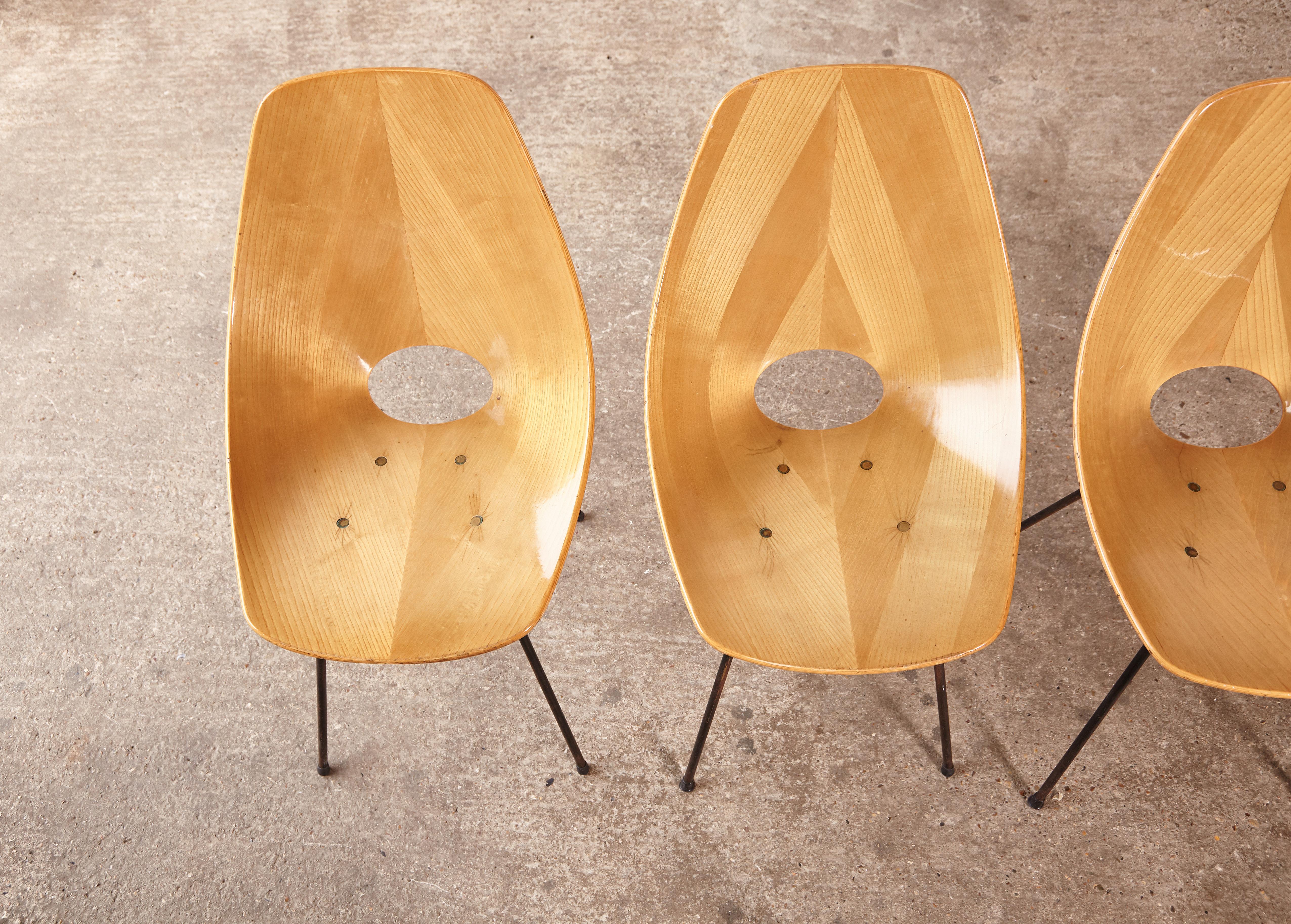Set of 12 Medea Chairs by Vittorio Nobili, Fratelli Tagliabue, Italy, 1950s 4