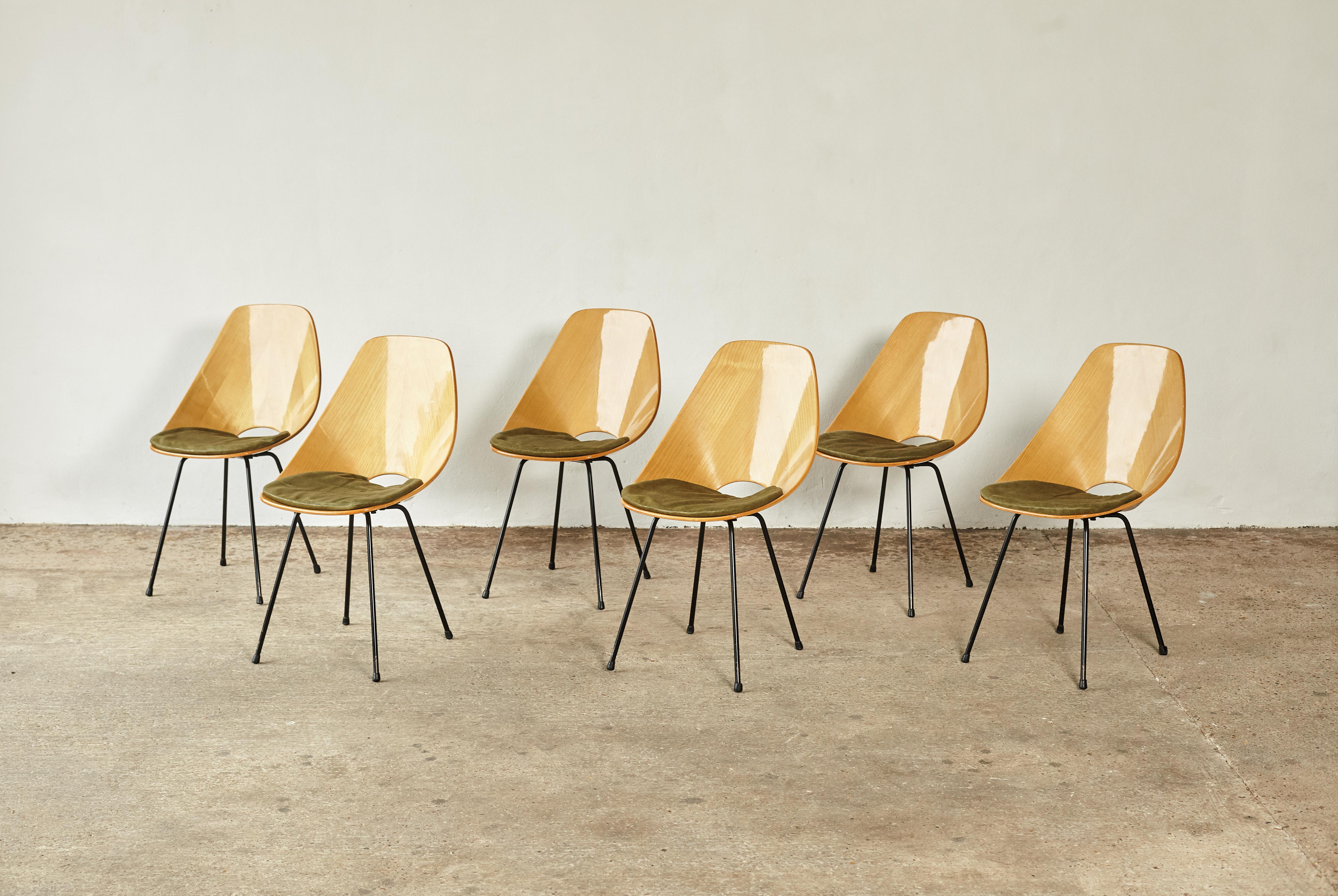 Set of 12 Medea Chairs by Vittorio Nobili, Fratelli Tagliabue, Italy, 1950s 12