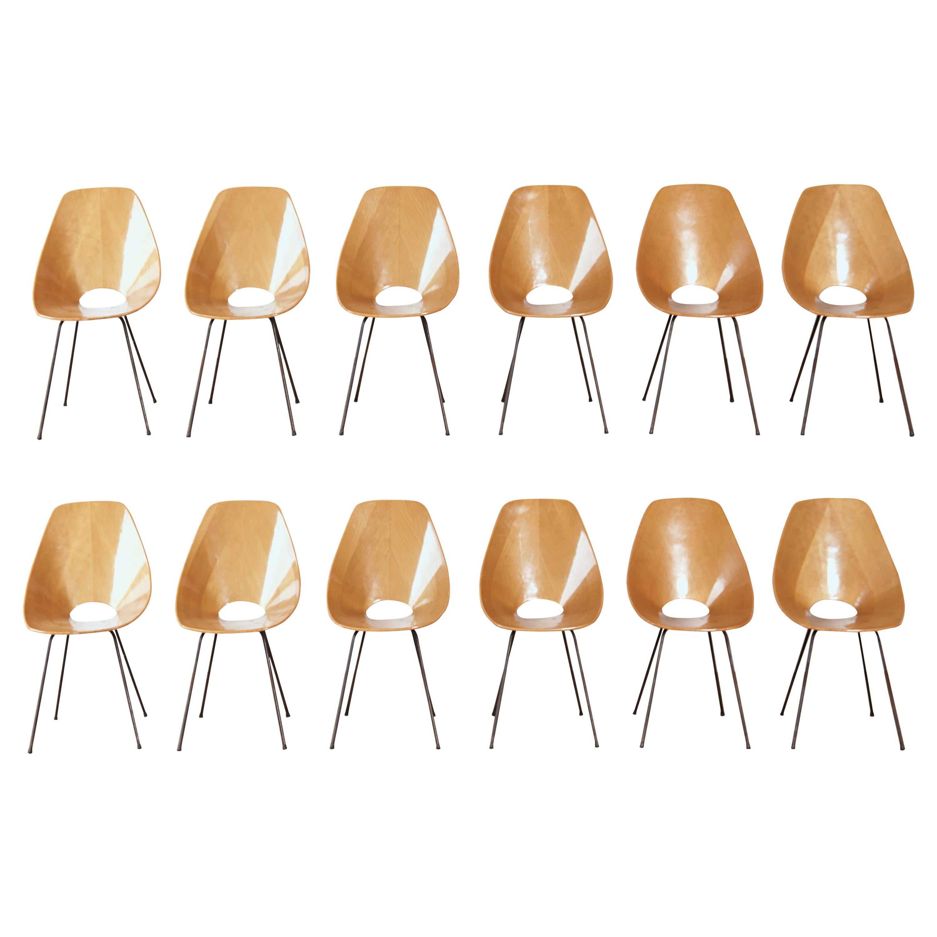 Set of 12 Medea Chairs by Vittorio Nobili, Fratelli Tagliabue, Italy, 1950s