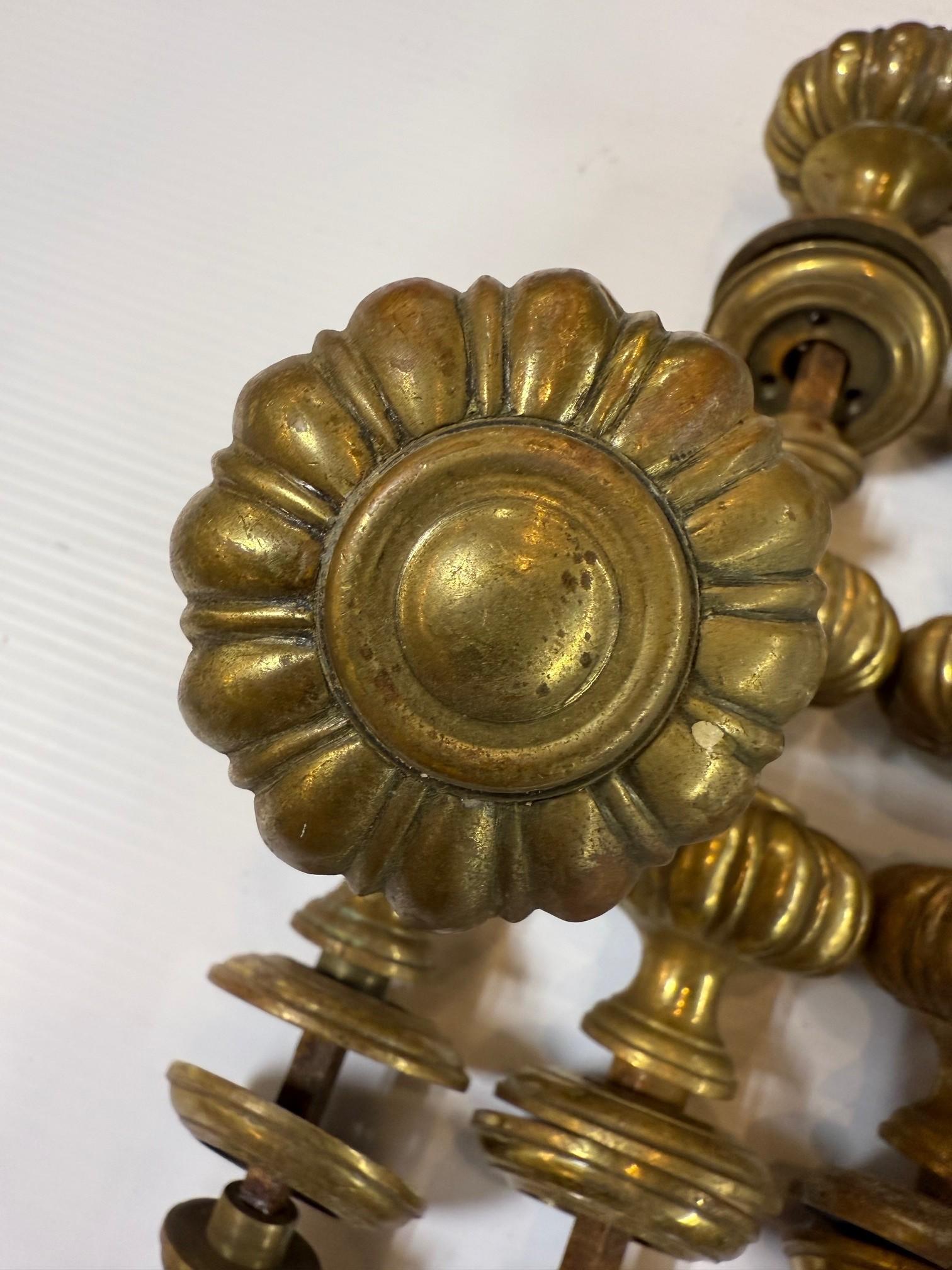 Set di 12 pomelli e rosette in ottone scanalati in stile Art Nouveau di metà secolo in vendita 5