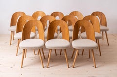 Set of 12 MidCentury Dining Chairs by A.Šuman, Customizable Upholstery Available