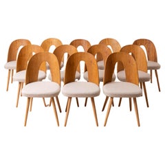 Set of 12 MidCentury Dining Chairs by A.Šuman, Customizable Upholstery Available