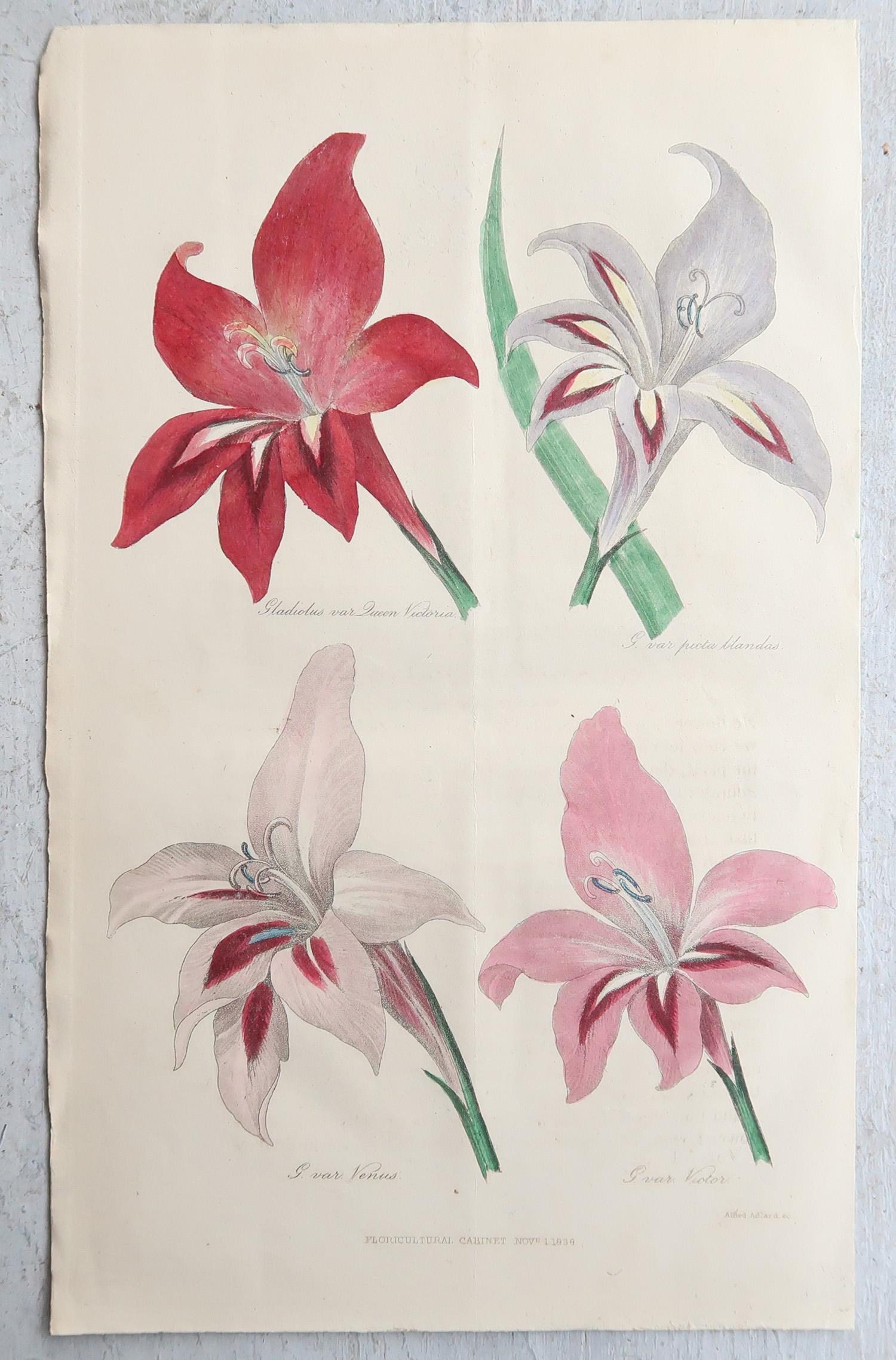 Set of 12 Original Antique Botanical Prints, circa 1840 im Angebot 2