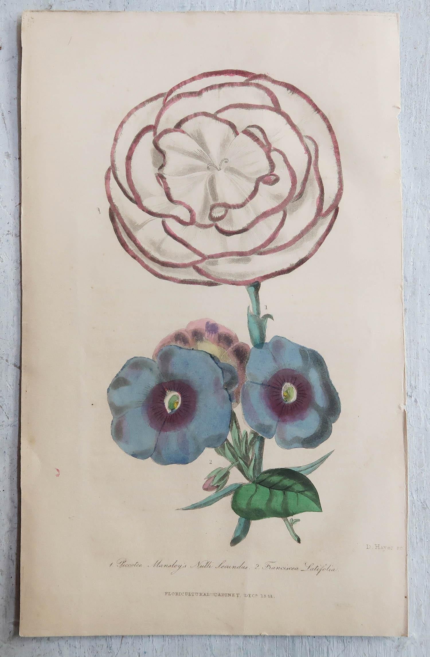 Set of 12 Original Antique Botanical Prints, circa 1840 2