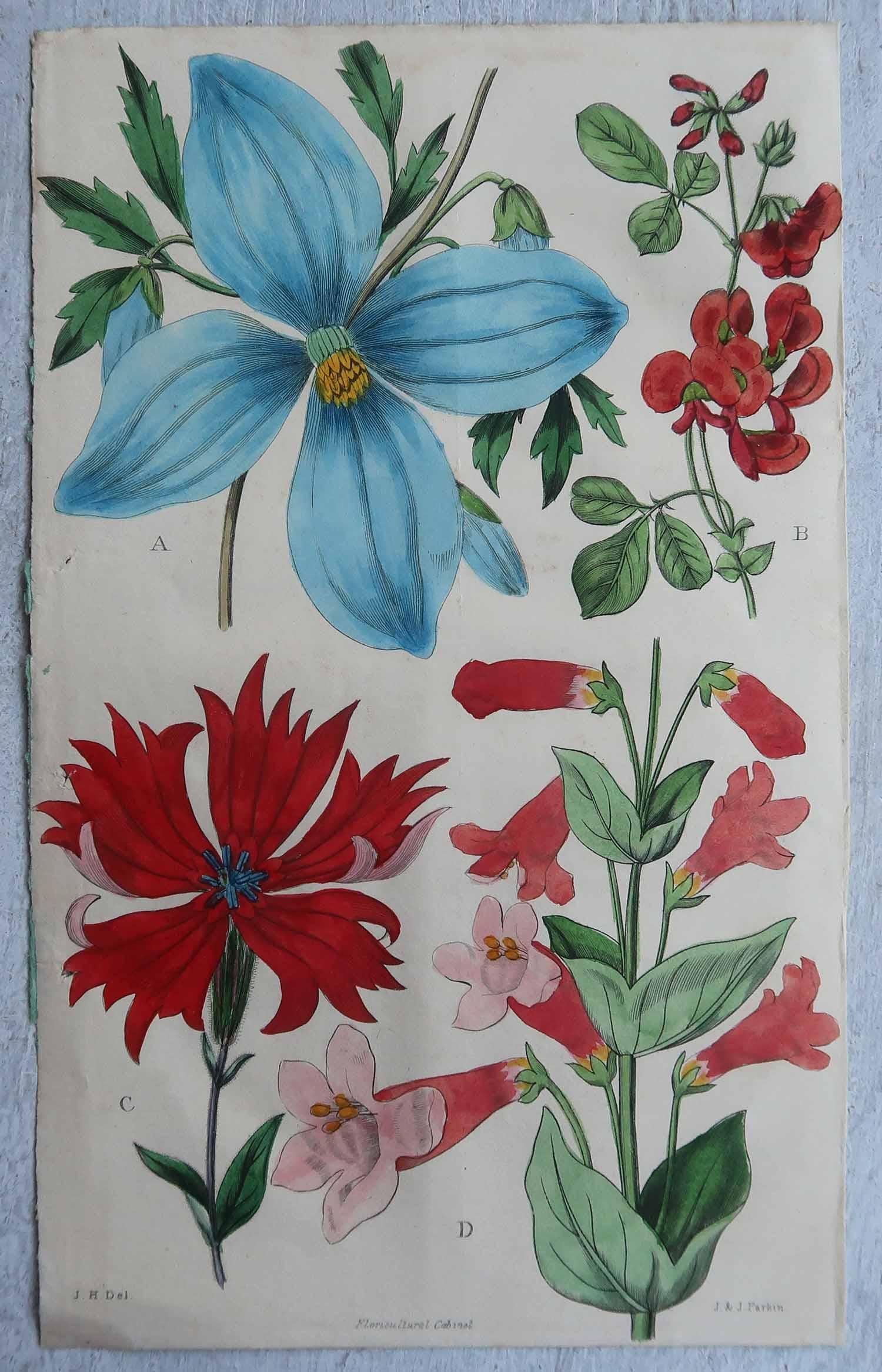 Chinoiserie Set of 12 Original Antique Botanical Prints, circa 1840 For Sale
