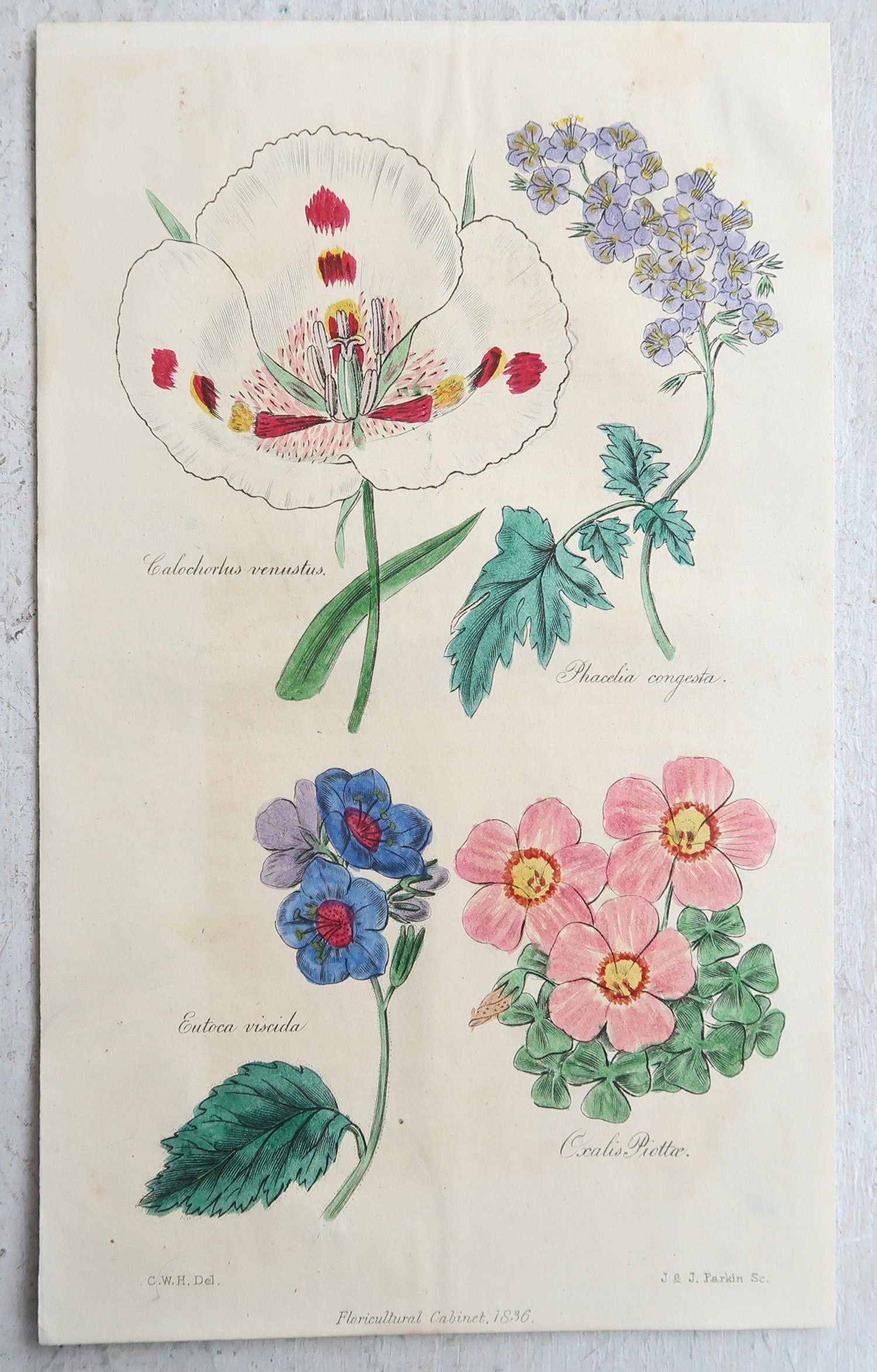 Set of 12 Original Antique Botanical Prints, circa 1840 (Sonstiges) im Angebot