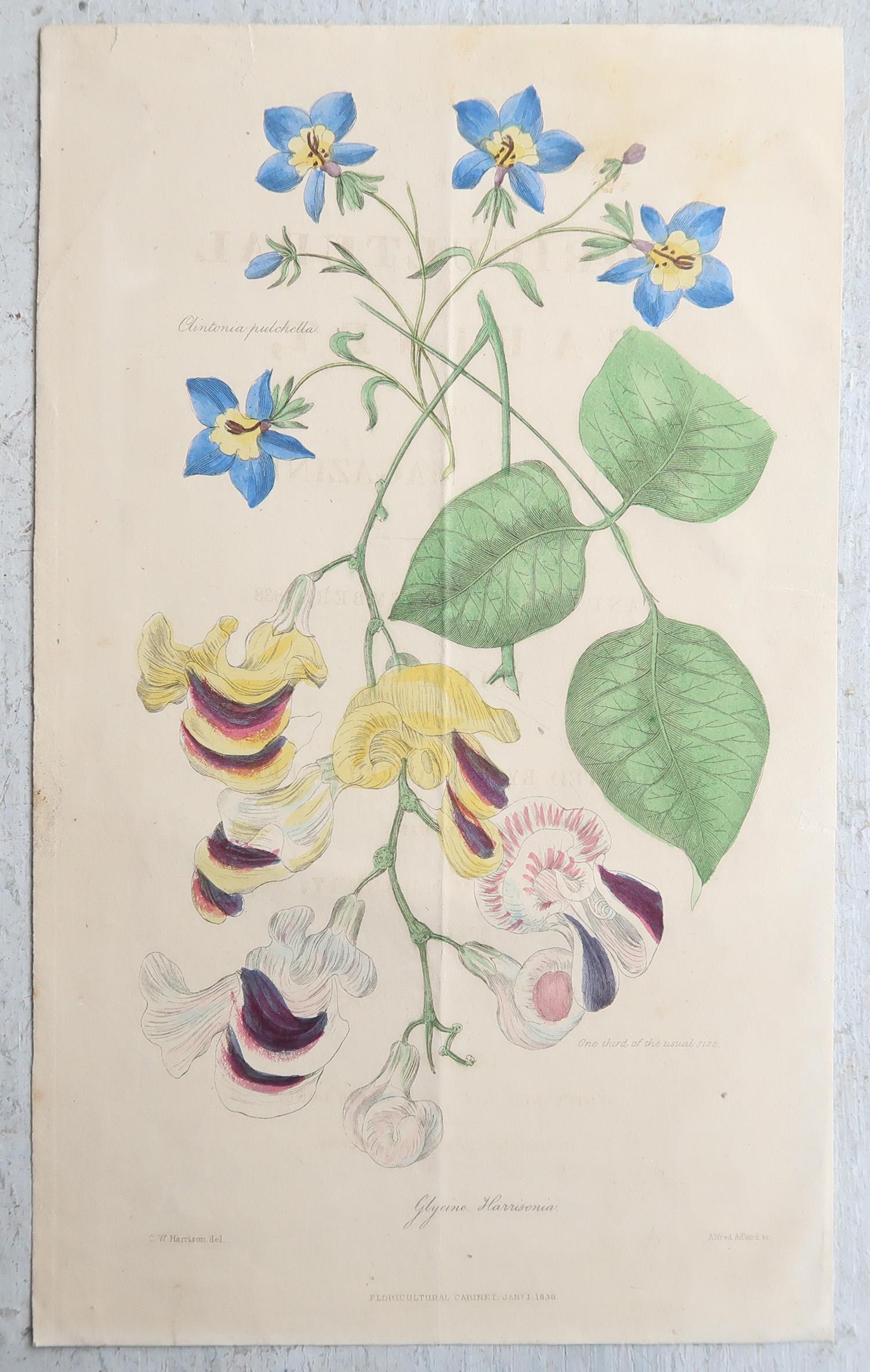 Set of 12 Original Antique Botanical Prints, circa 1840 im Angebot 1