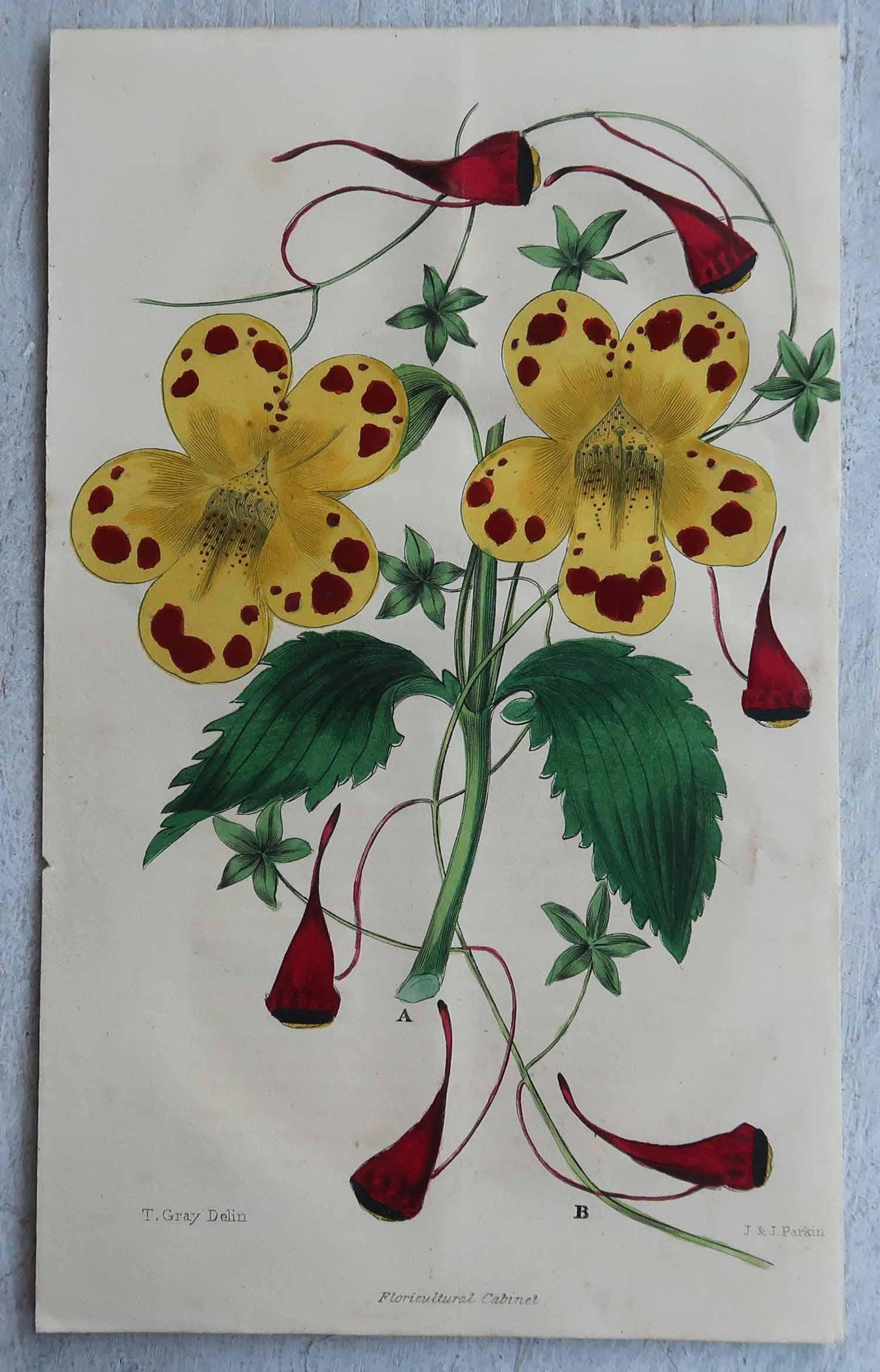 Set of 12 Original Antique Botanical Prints, circa 1840 For Sale 1