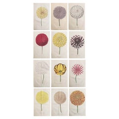 Set of 12 Original Antique Botanical Prints, circa 1840