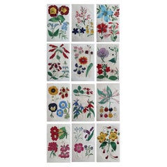 Decorative Art