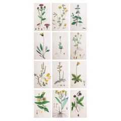 Paper Decorative Art