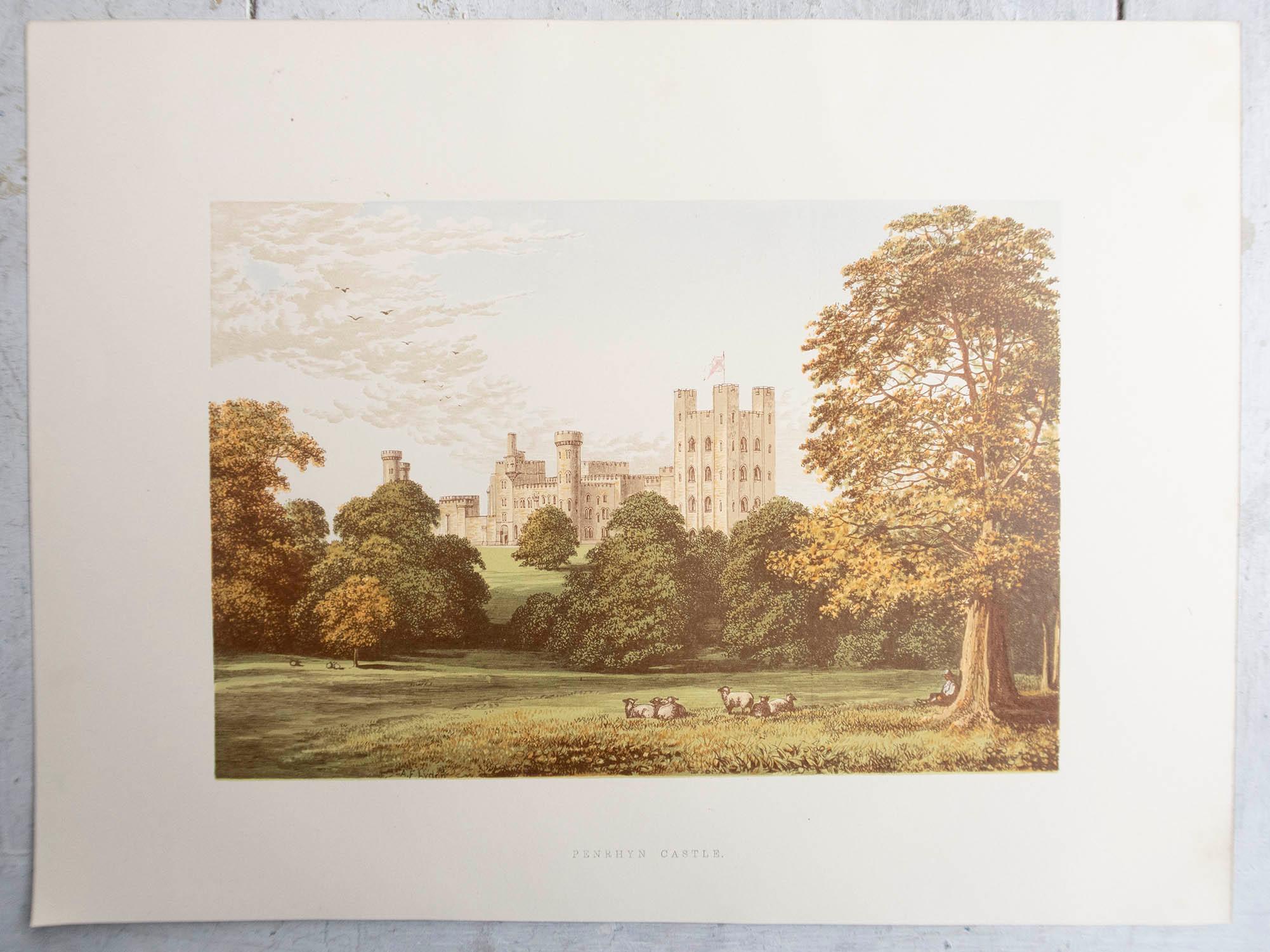 Ensemble de 12 estampes anciennes originales de châteaux anglais, vers 1880 5