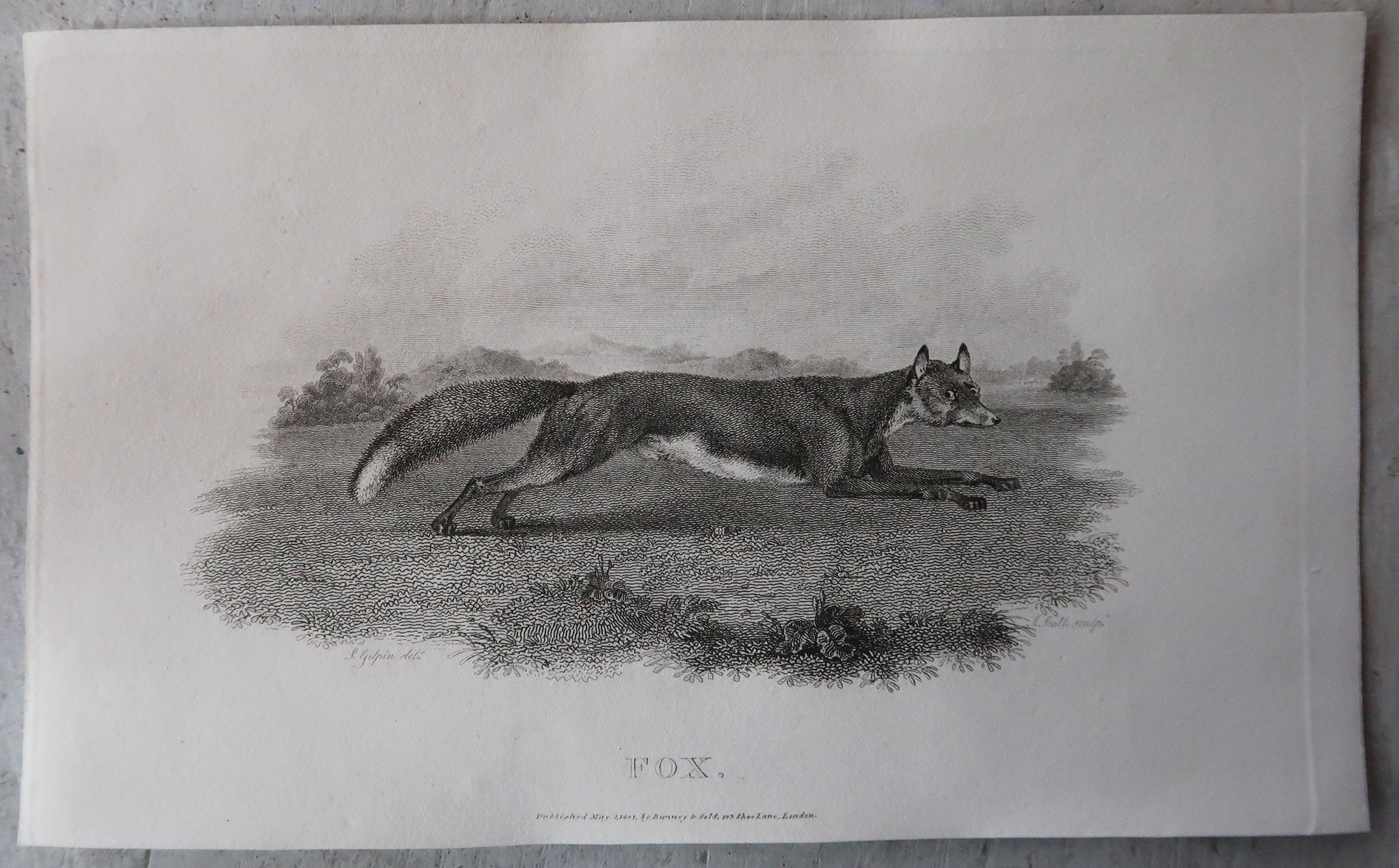 Early 19th Century Set of 12 Original Antique Sporting Prints. Dated 1801 For Sale