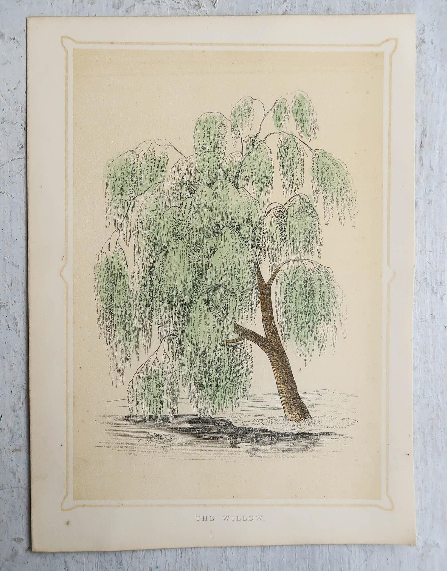 Wonderful set of 12 trees prints

Lithographs

Original colour

Published, circa 1850

Unframed.

The measurement given is for one print.

