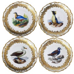 Satz von 12 Porzellantellern mit Vogelmotiven Royal Vienna 19.