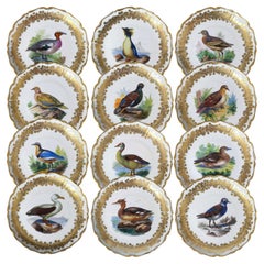 Ensemble de 12 assiettes à dîner en porcelaine décorée d'oiseaux Royal Vienna Porcelain C.C.