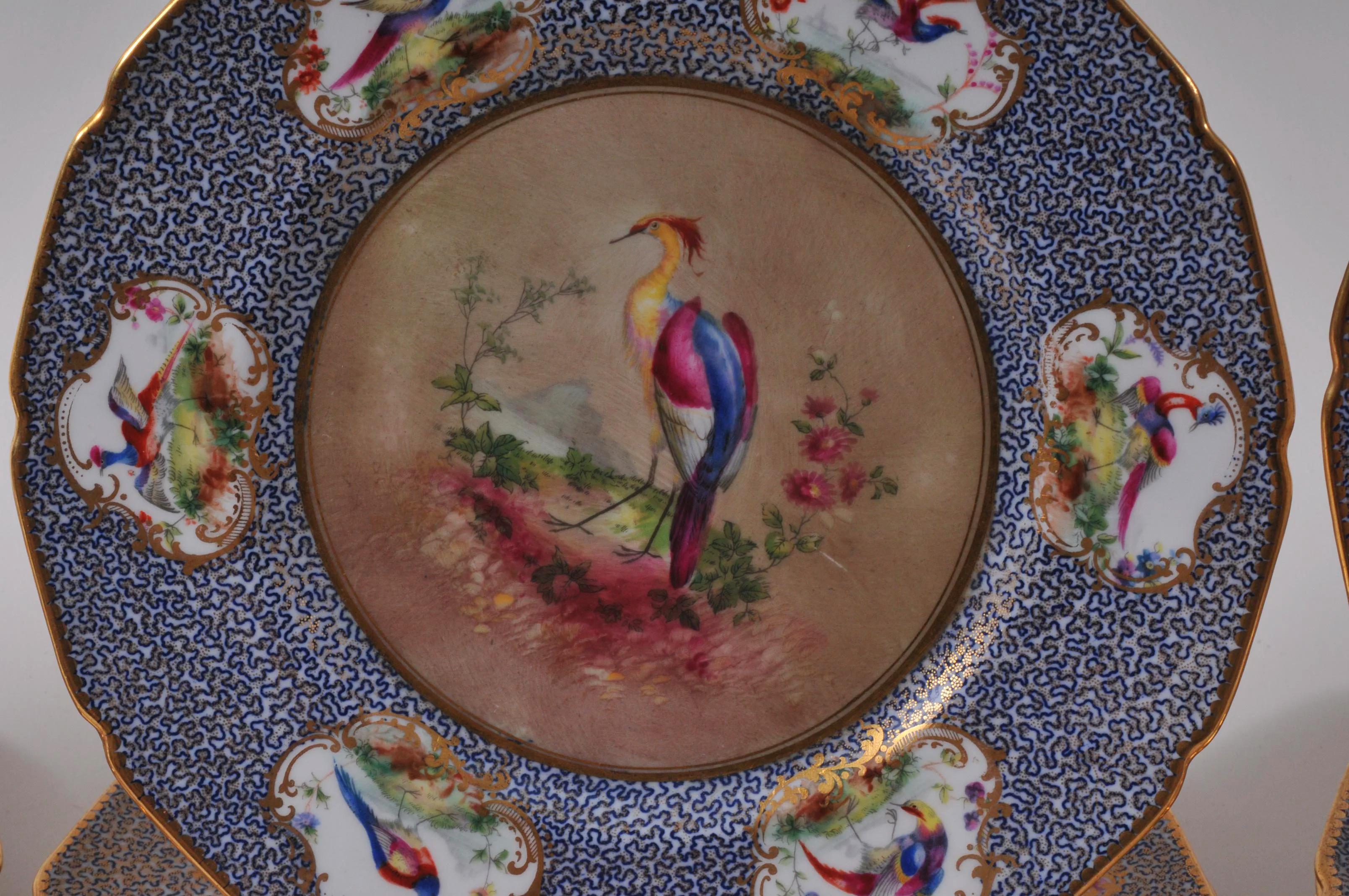 royal doulton bird plates